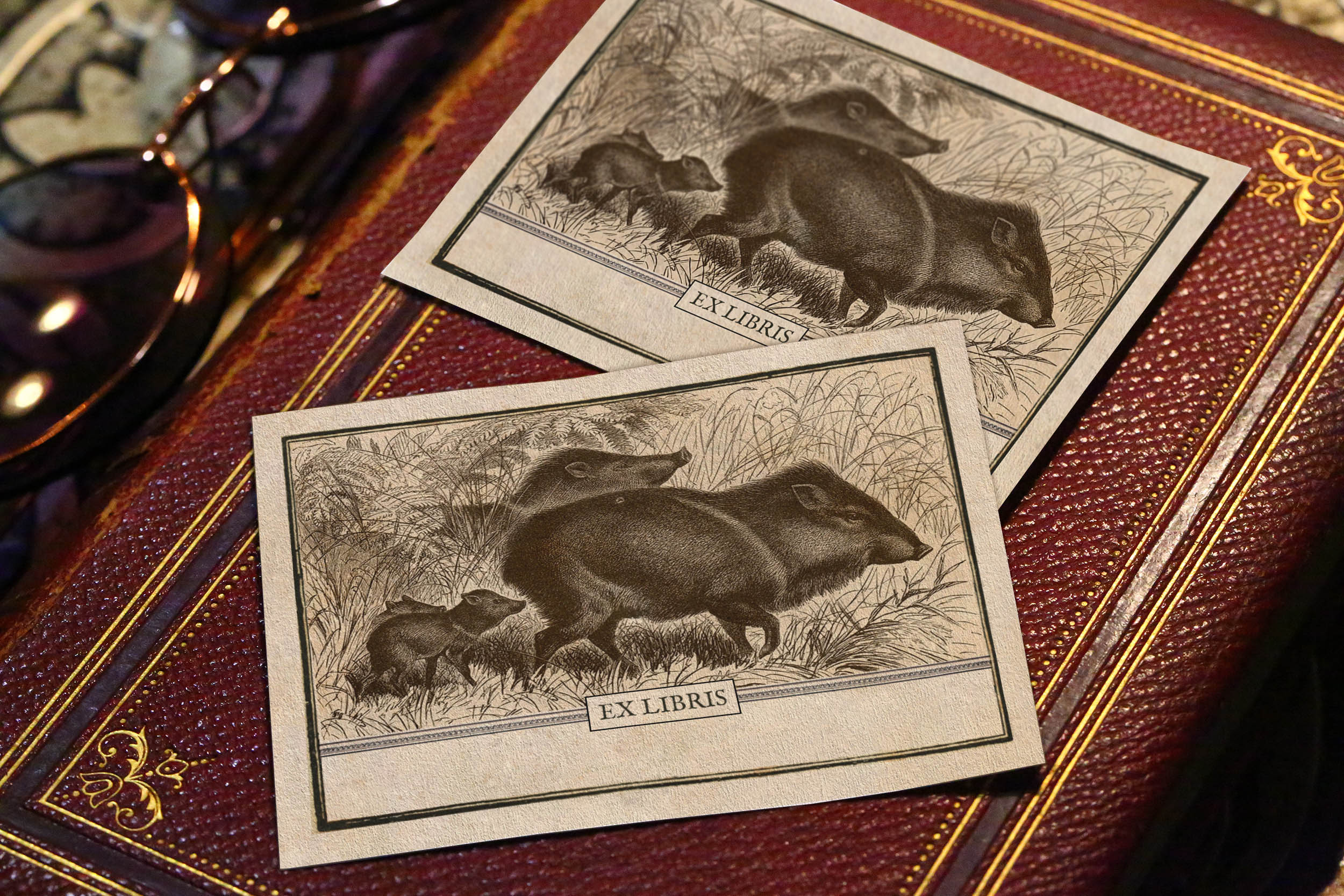 Javalina, Personalized Ex-Libris Bookplates, Crafted on Traditional Gummed Paper, 3.25in x 2.5in, Set of 30