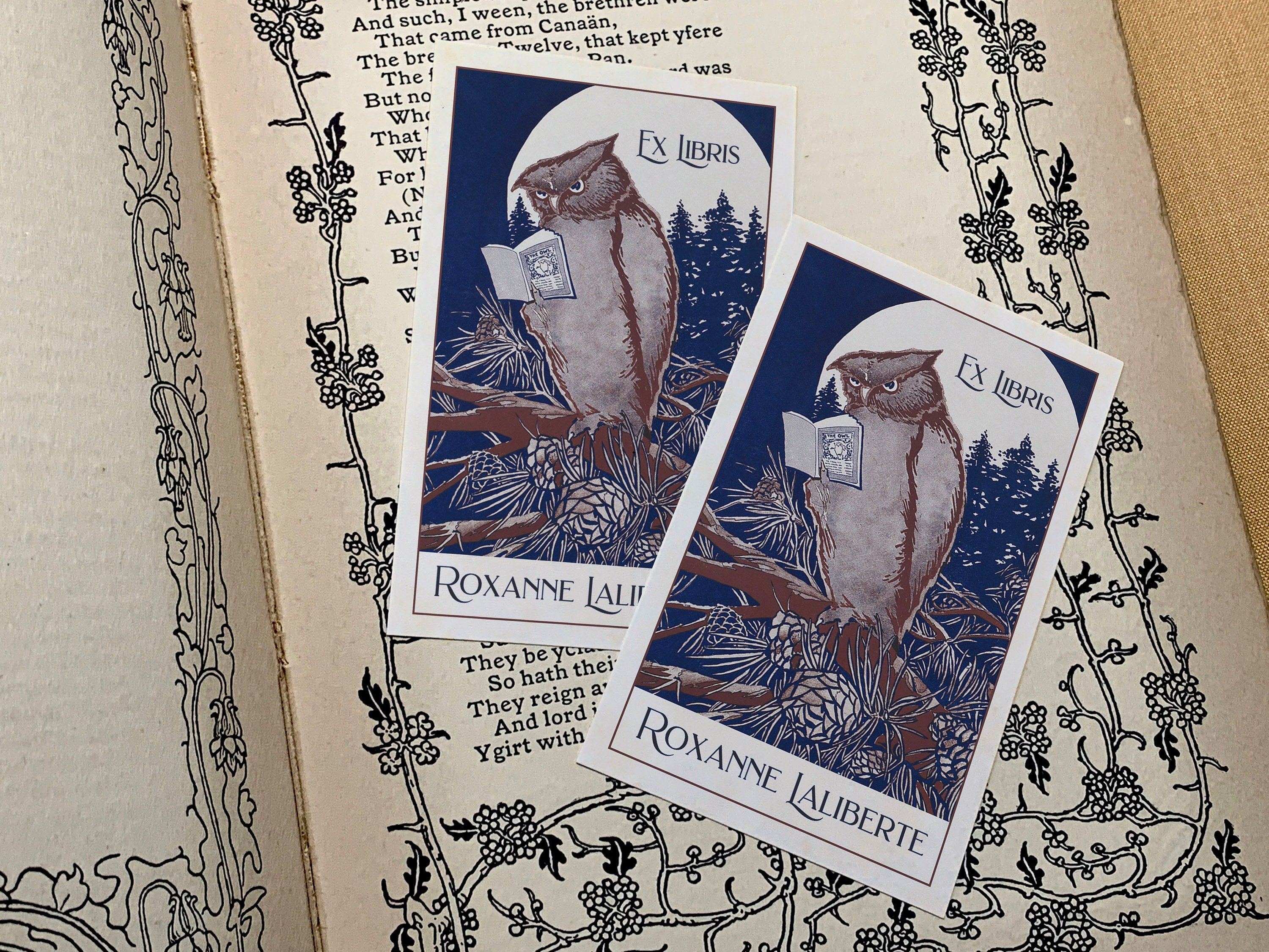 Owl Reading Book, Personalized Ex Libris Bookplates, Crafted on Traditional Gummed Paper, 3in x 4in, Set of 30