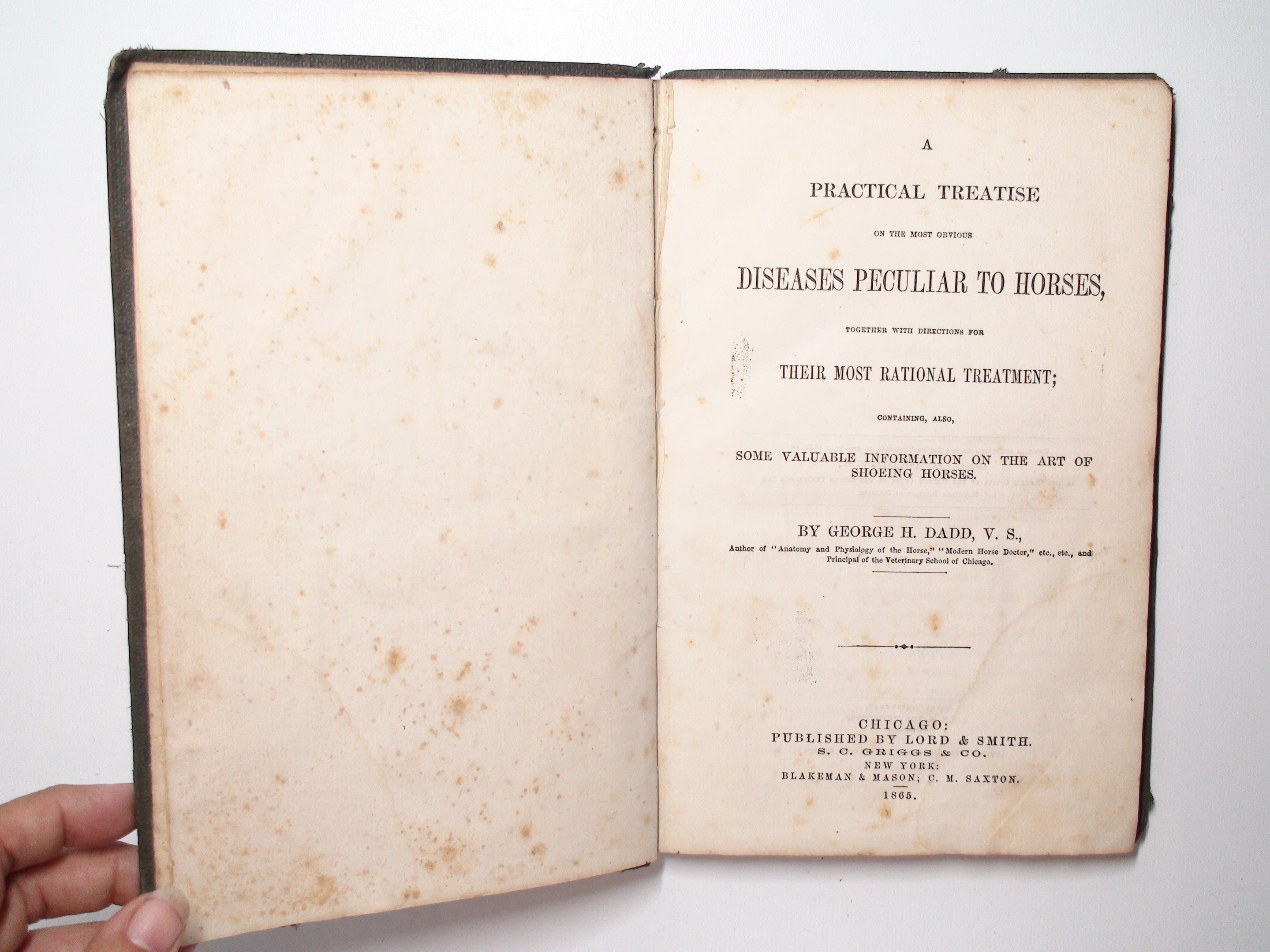 A Practical Treatise on Diseases Peculiar to Horses, George H. Dadd, Rare, 1865