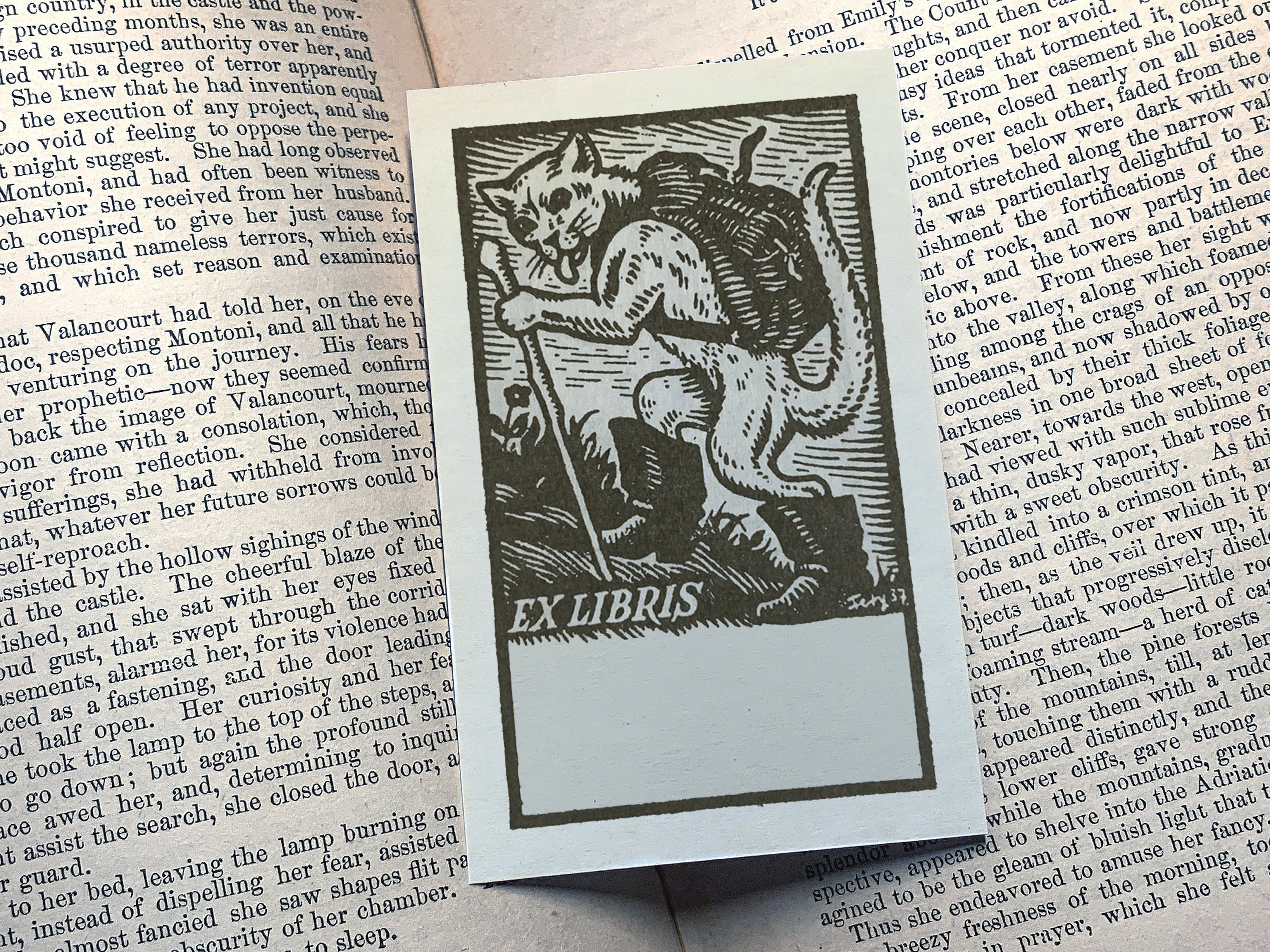 Puss in Boots, Personalized Ex-Libris Bookplates, Crafted on Traditional Gummed Paper, 2.5in x 4in, Set of 30