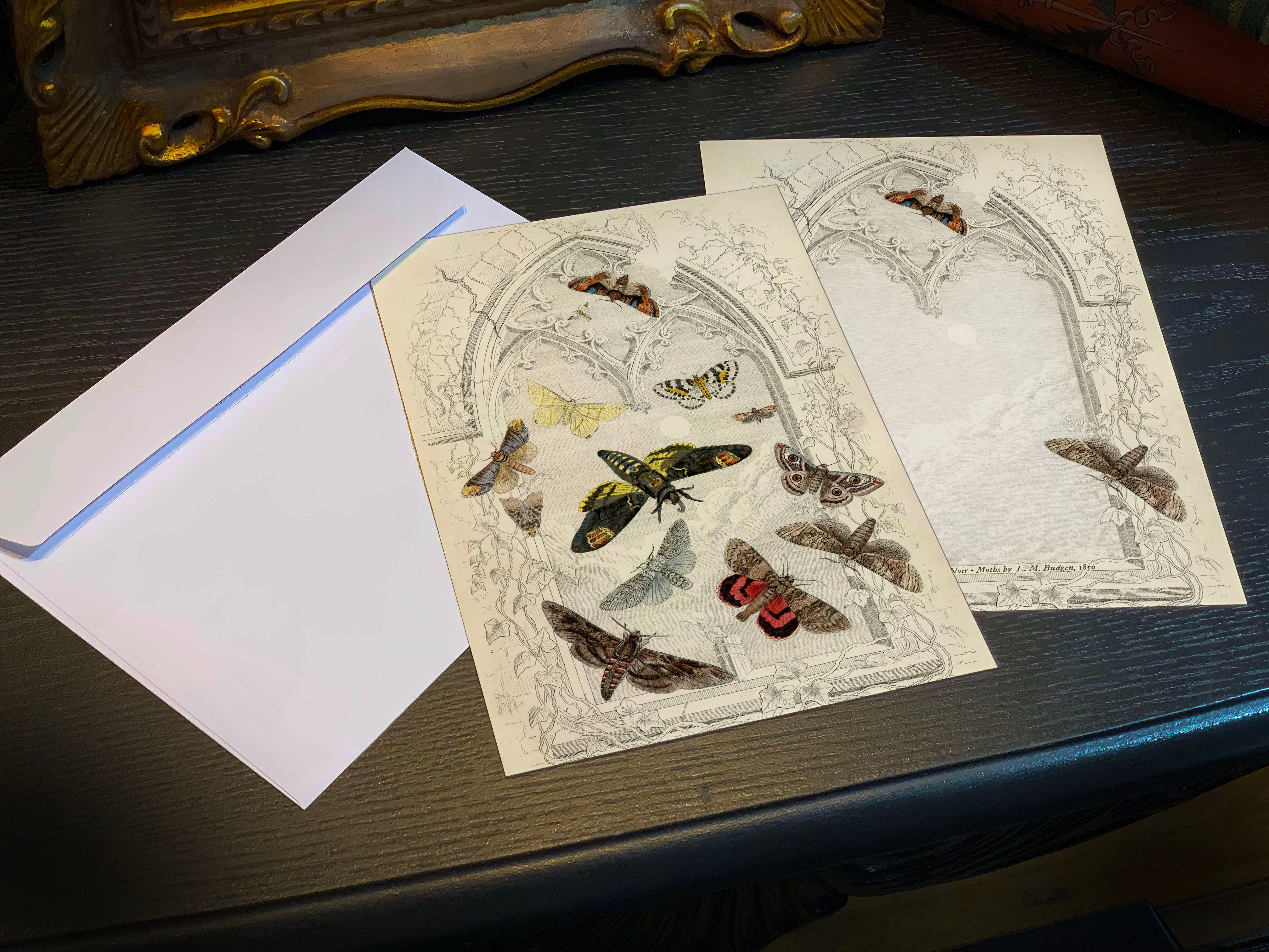 Moths by L. M. Budgen c1850,  Set of 5in x 7in Flat Notecards for Everyday Correspondence With White Envelopes