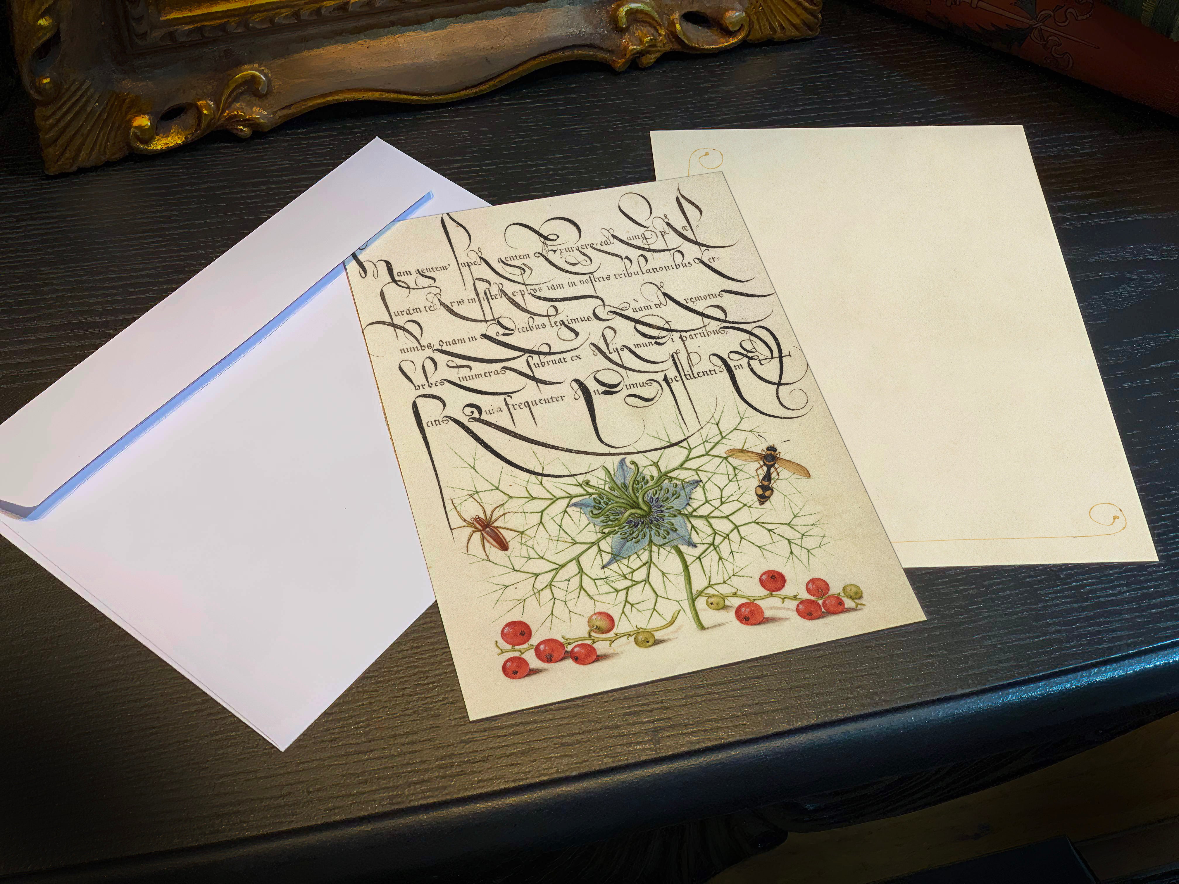 Model Book of Calligraphy, Spider, Love-in-a-Mist, and Red Currant, 5in x 7in Everyday Notecards With White Envelopes