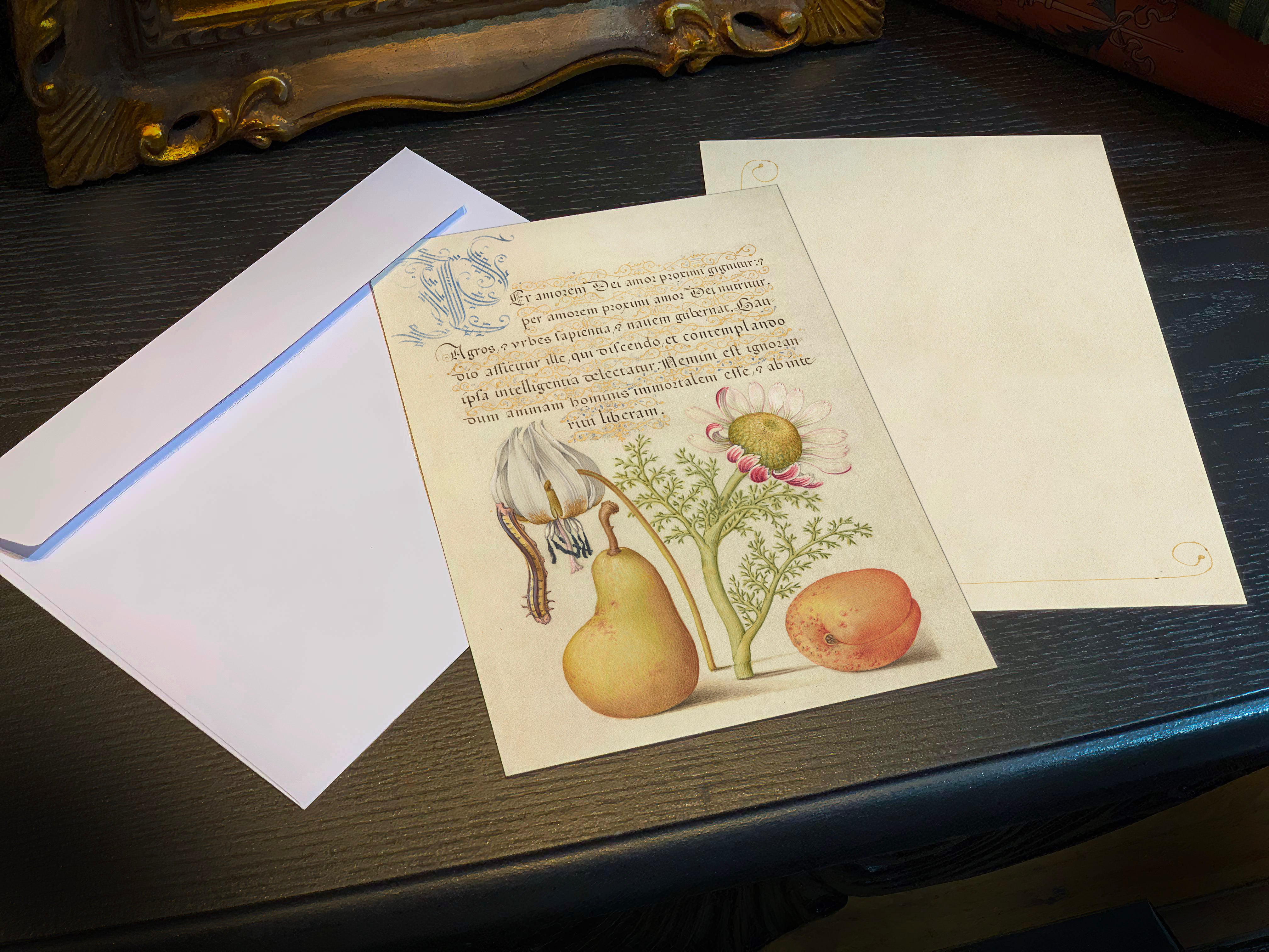 Model Book of Calligraphy, Caterpillar, Violet, Pear, and Apricot, 5in x 7in Everyday Notecards With White Envelopes