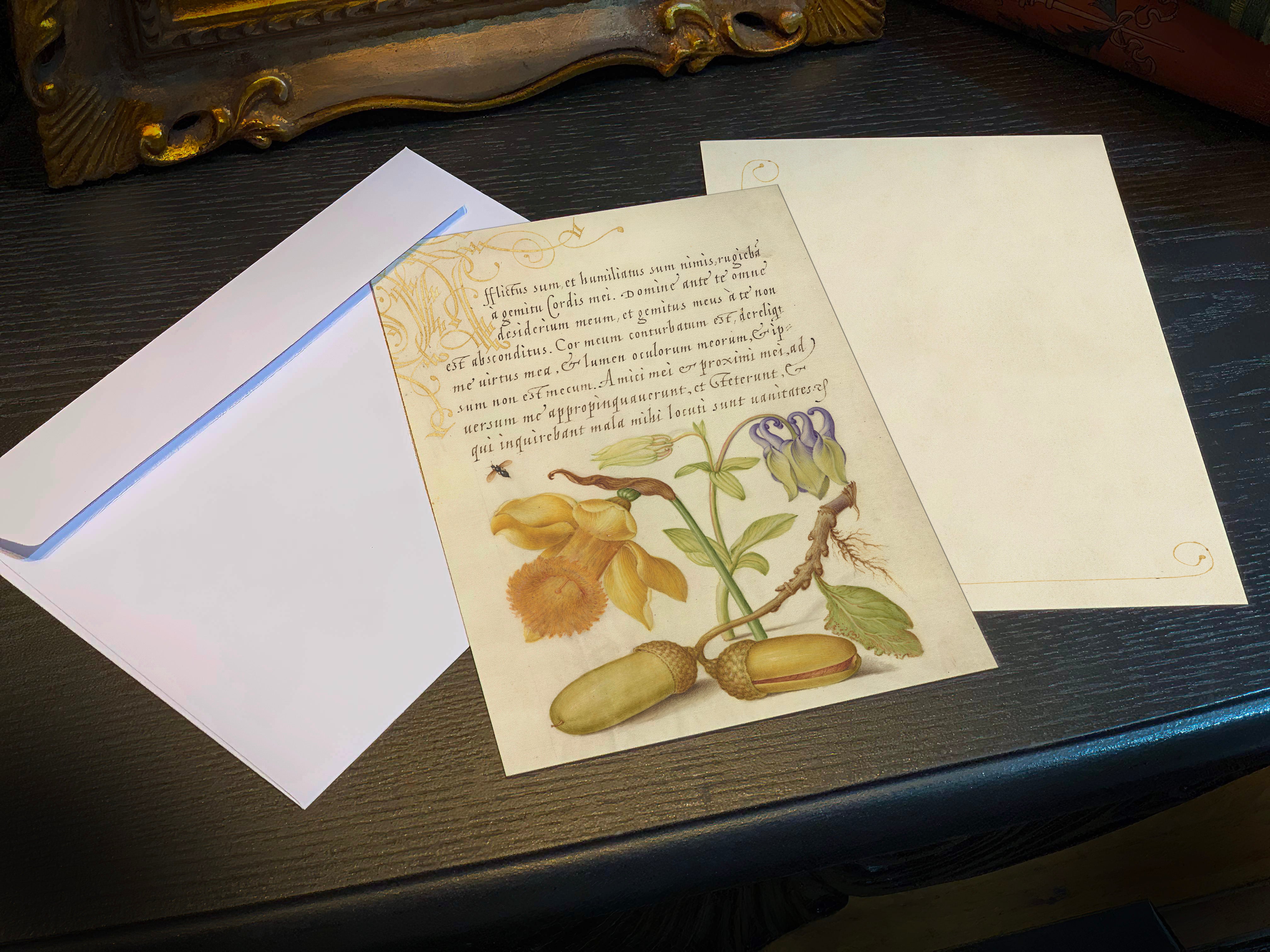 Model Book of Calligraphy, Insect, Daffodil, Columbine, and Acorns, 5in x 7in Everyday Notecards With White Envelopes