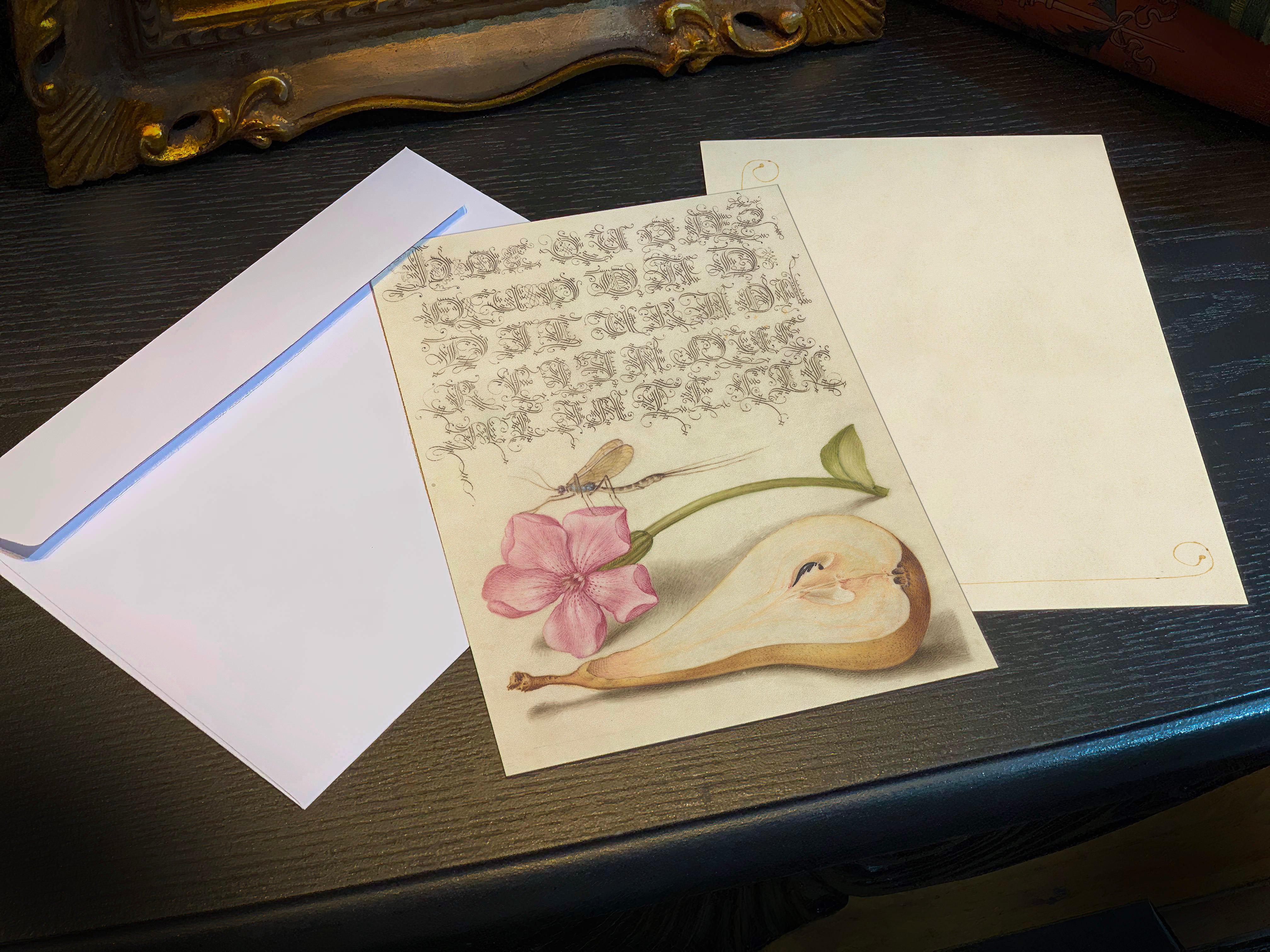 Model Book of Calligraphy, Mayfly, Red Campion, and Pear, 5in x 7in Everyday Notecards With White Envelopes