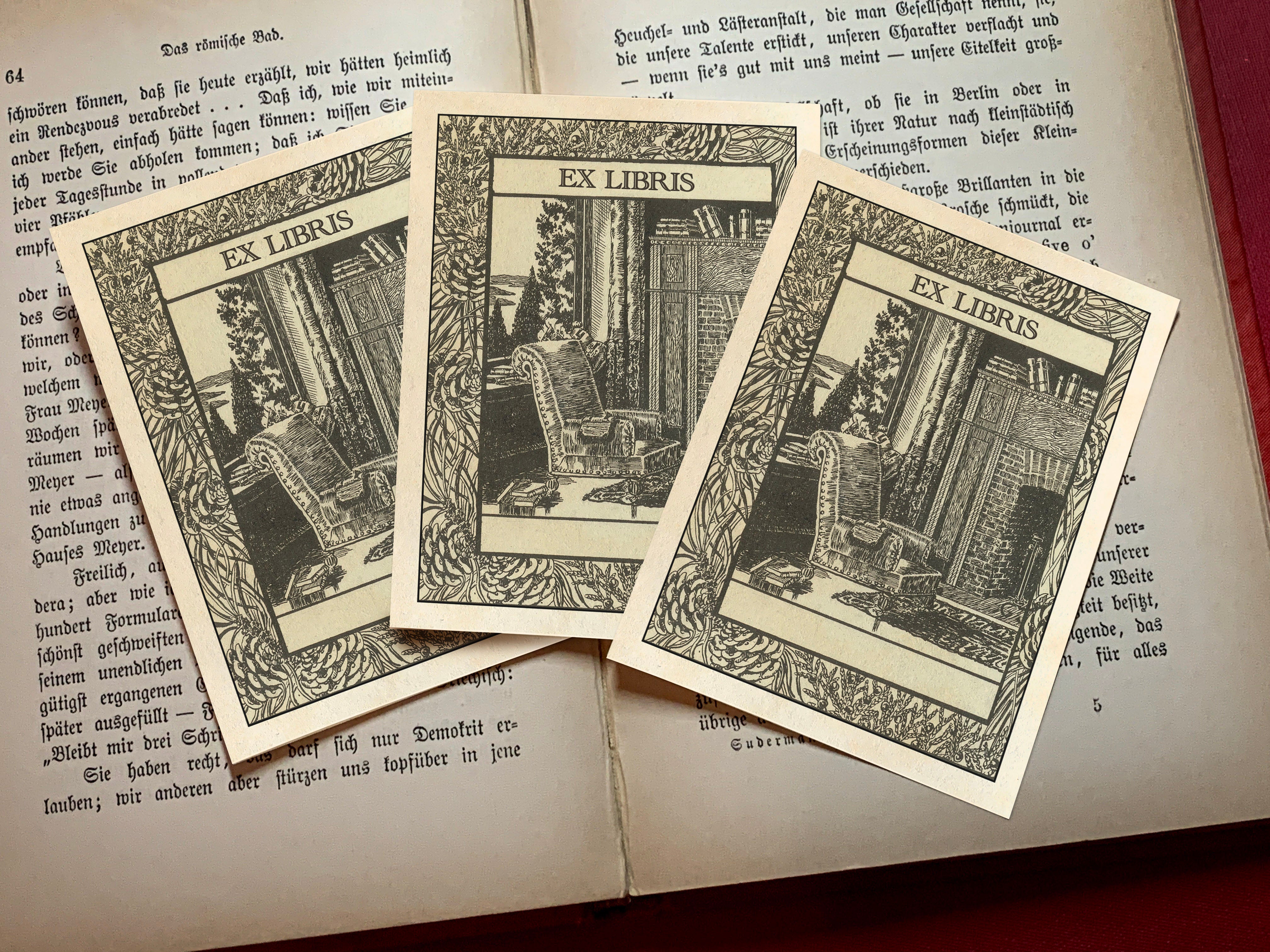 Cozy by the Fire, Personalized Ex-Libris Bookplates, Crafted on Traditional Gummed Paper, 3in x 4in, Set of 30