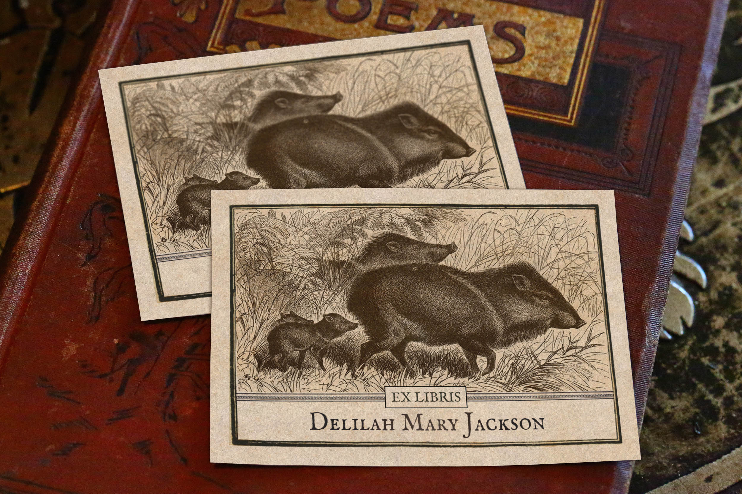 Javalina, Personalized Ex-Libris Bookplates, Crafted on Traditional Gummed Paper, 3.25in x 2.5in, Set of 30