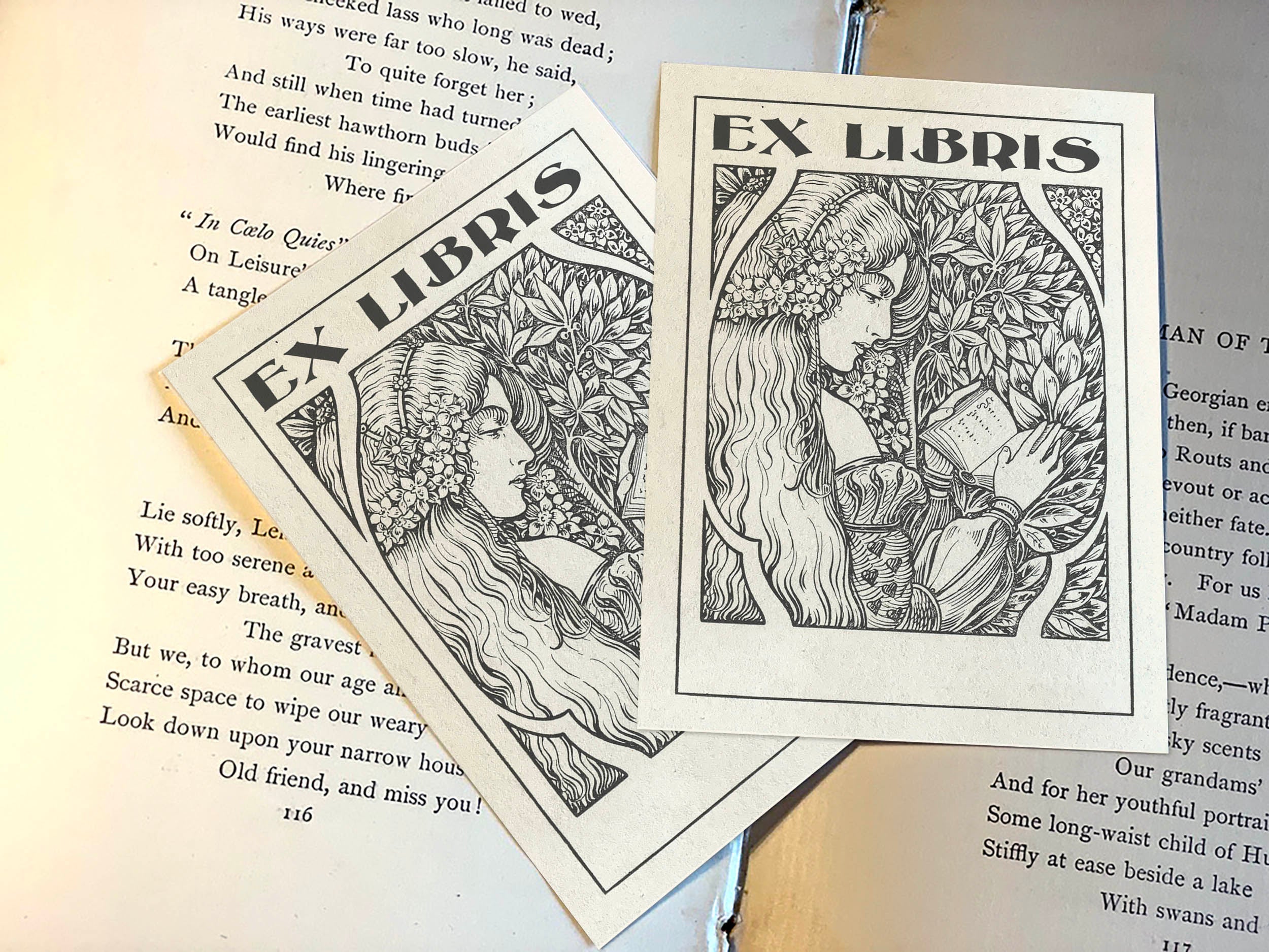 Princess Reading in the Garden, Personalized Ex-Libris Bookplates, Crafted on Traditional Gummed Paper, 3in x 4in, Set of 30