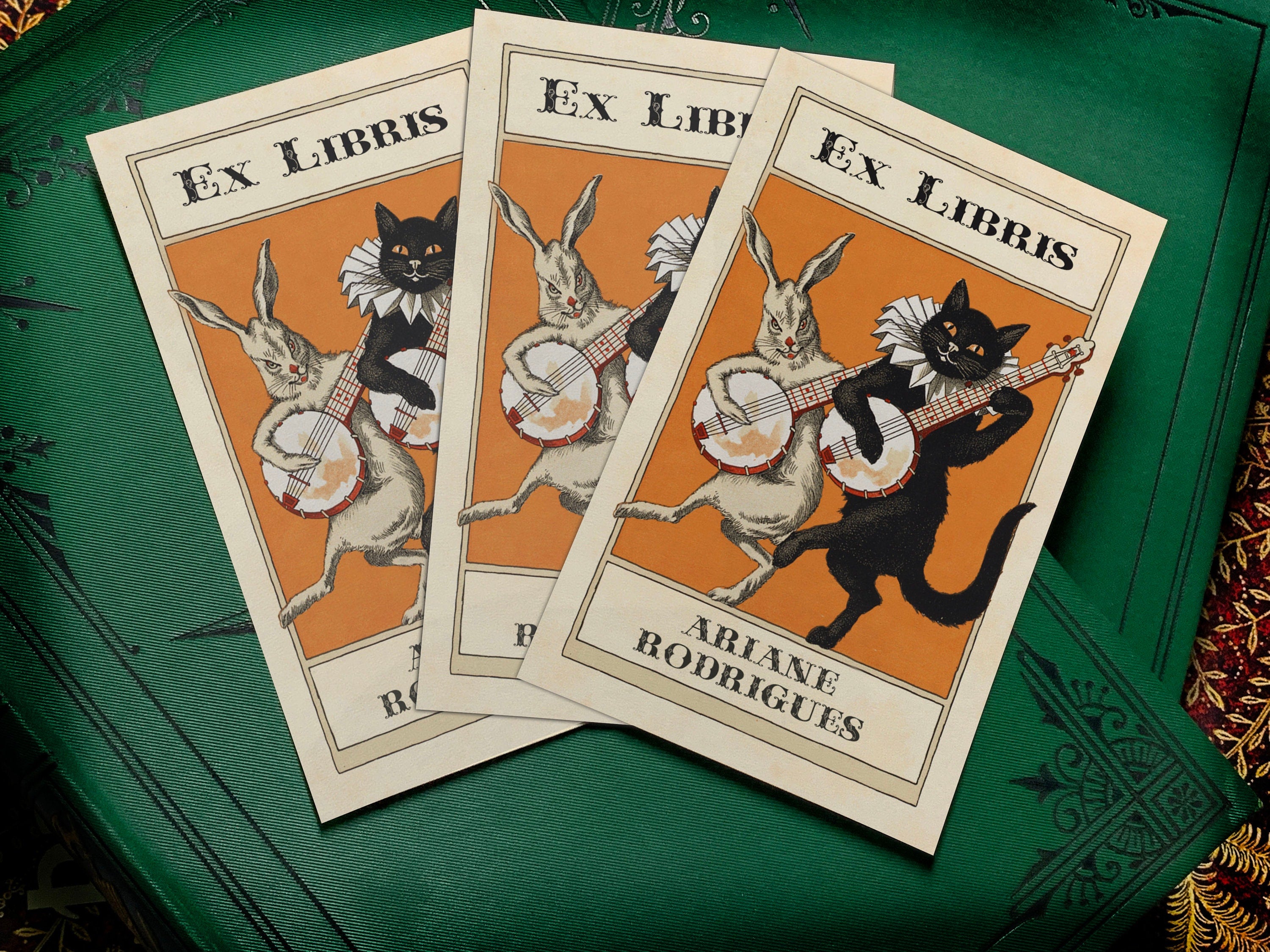 Banjo Cat and Rabbit, Personalized Ex-Libris Bookplates, Crafted on Traditional Gummed Paper, 2.5in x 4in, Set of 30