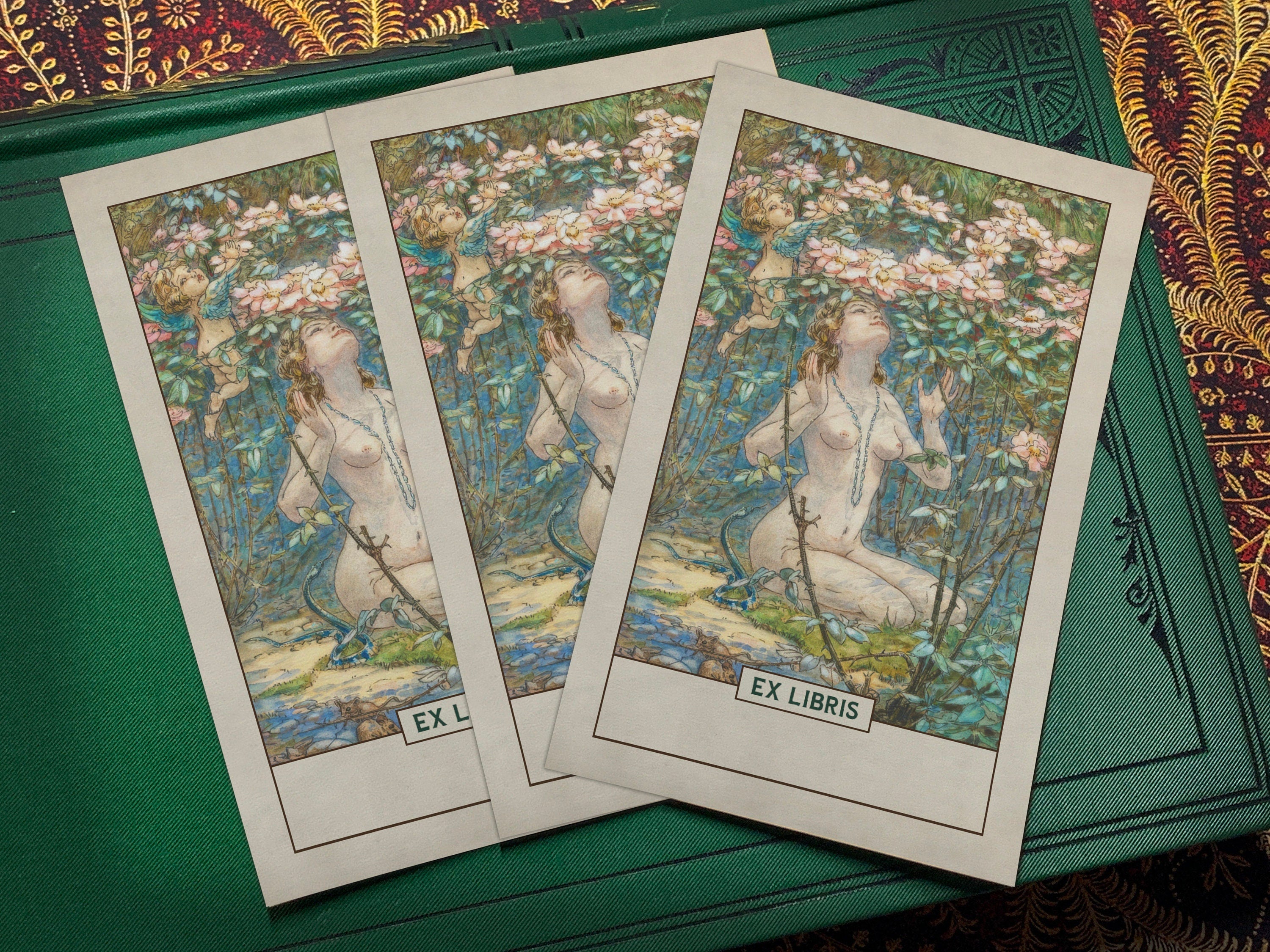 Fairy Bower, Personalized Ex-Libris Bookplates, Crafted on Traditional Gummed Paper, 2.5in x 4in, Set of 30