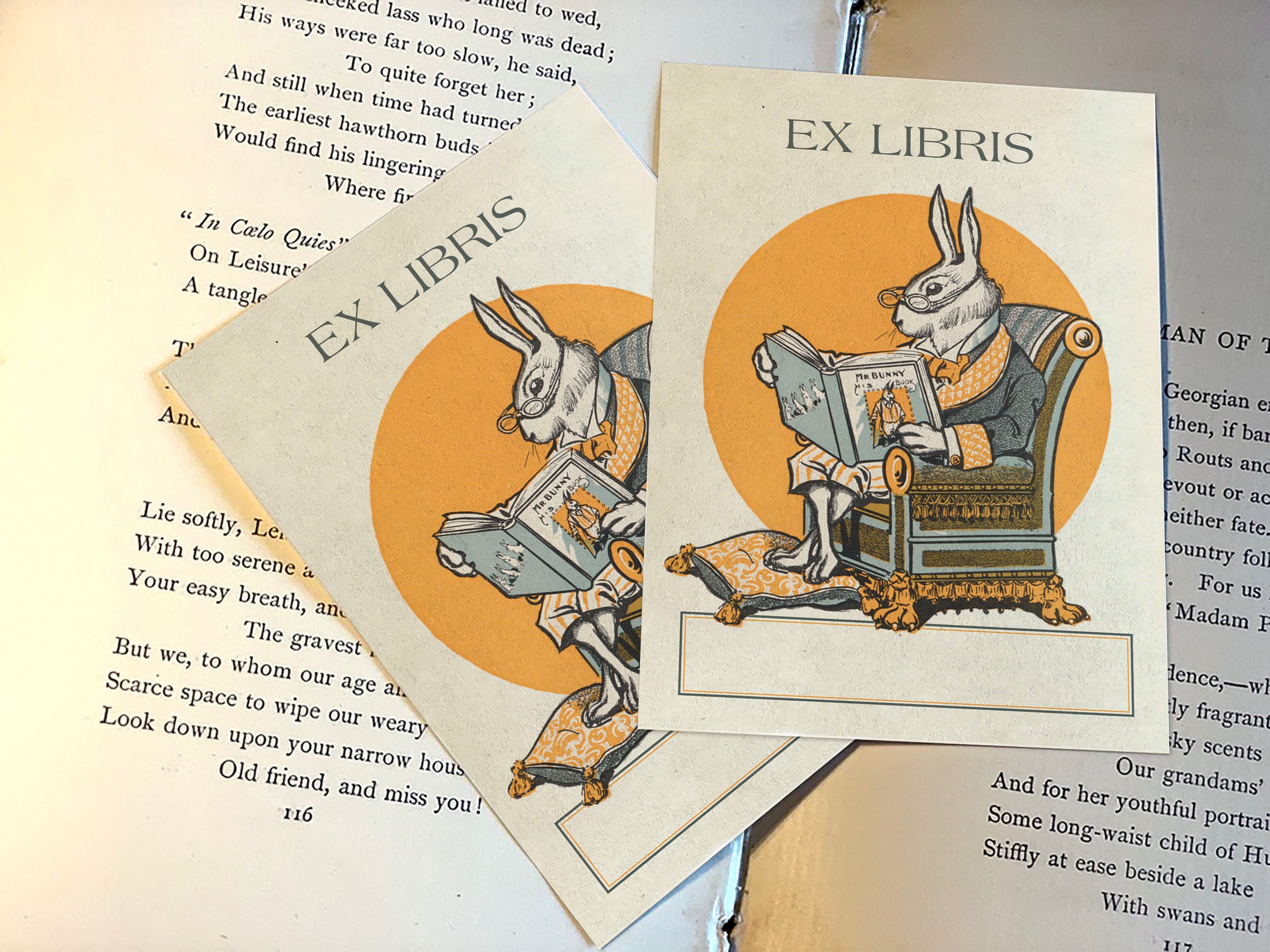 Mr Bunny, Personalized Ex-Libris Bookplates, Crafted on Traditional Gummed Paper, 3in x 4in, Set of 30