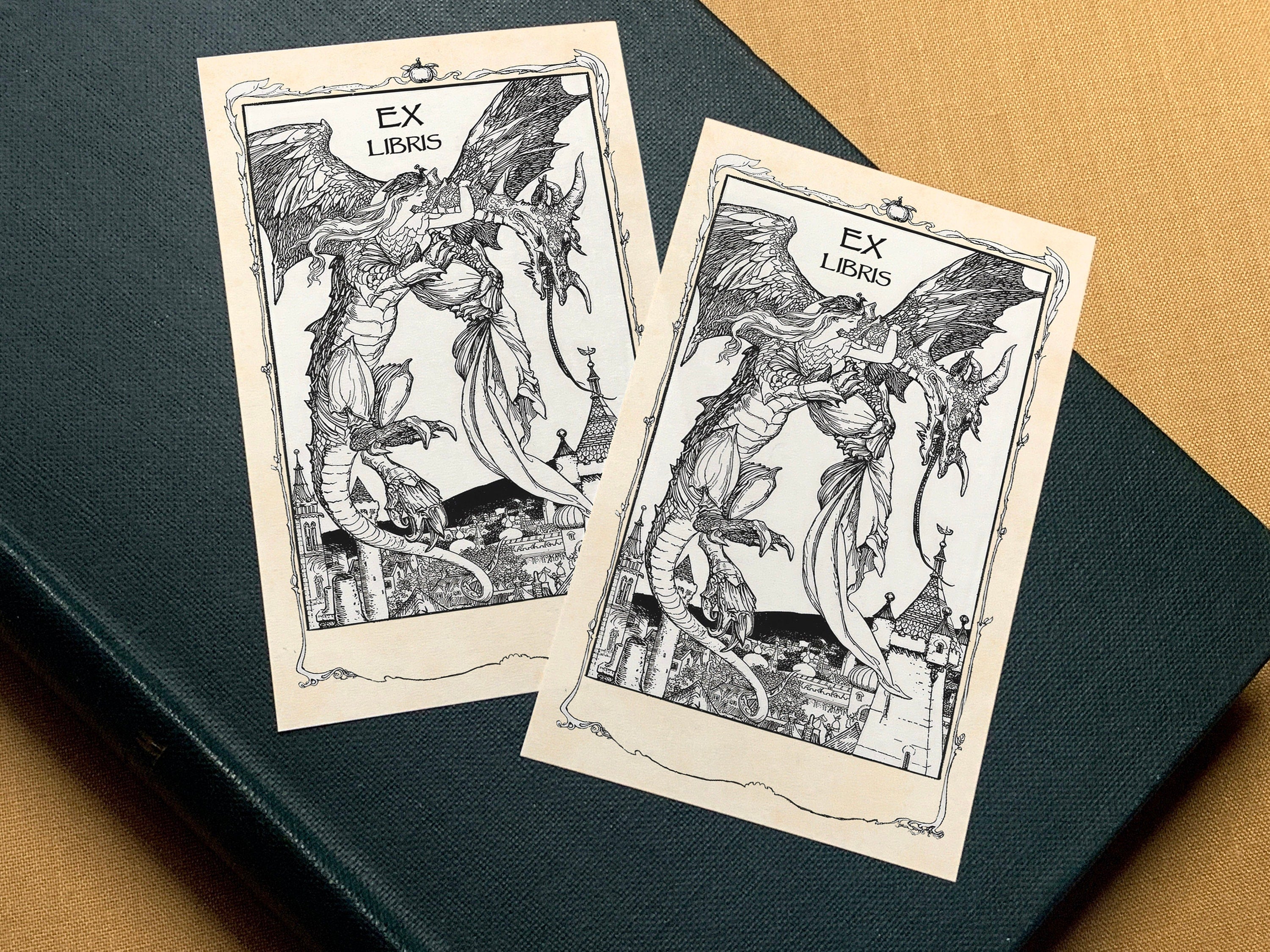 The Lady and the Dragon, Fairytale Personalized Ex-Libris Bookplates, Crafted on Traditional Gummed Paper, 2.5in x 4in, Set of 30