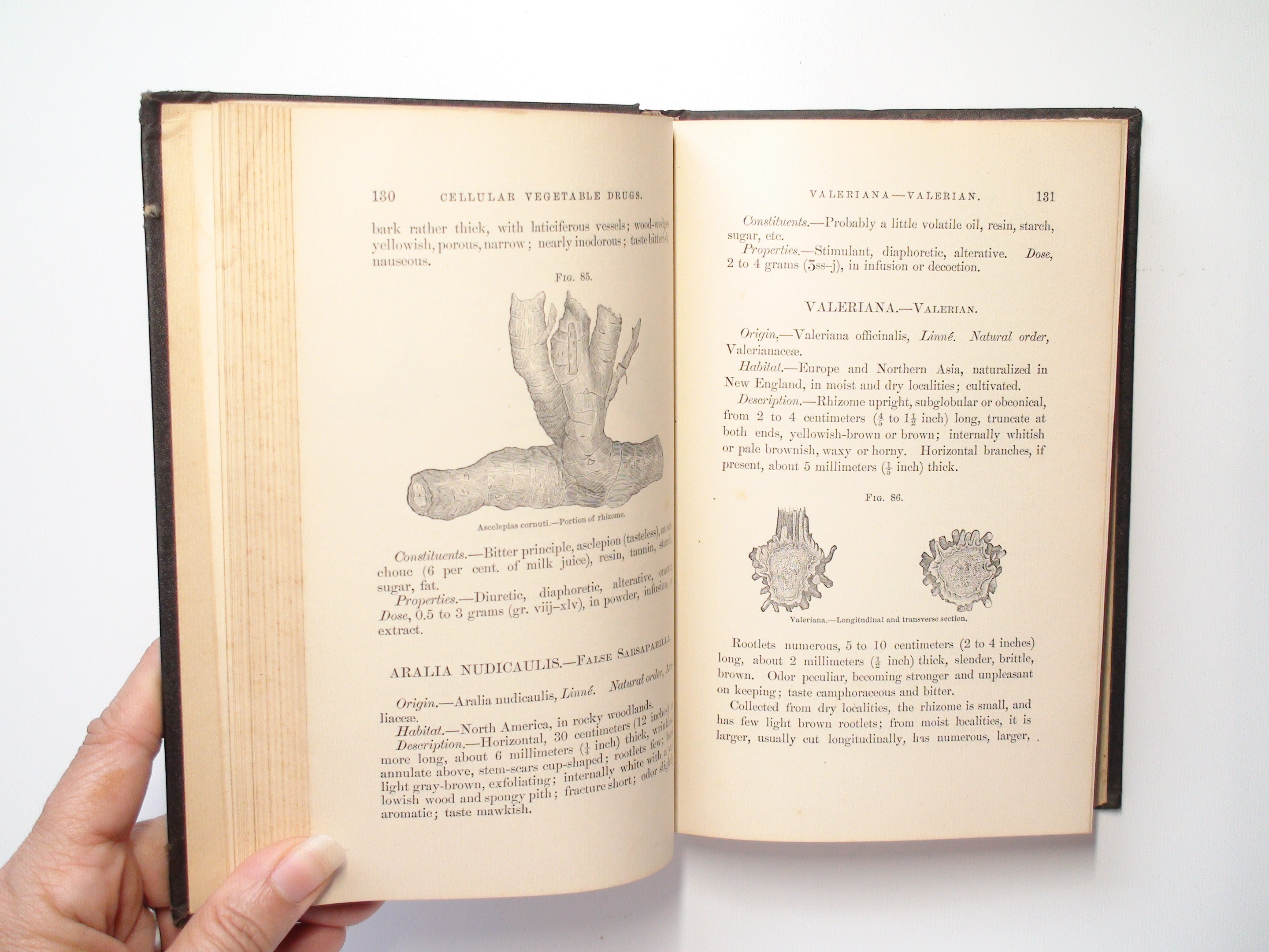 A Manual of Organic Materia Medica, by John M. Maisch, 3rd Ed, Illustrated, 1887