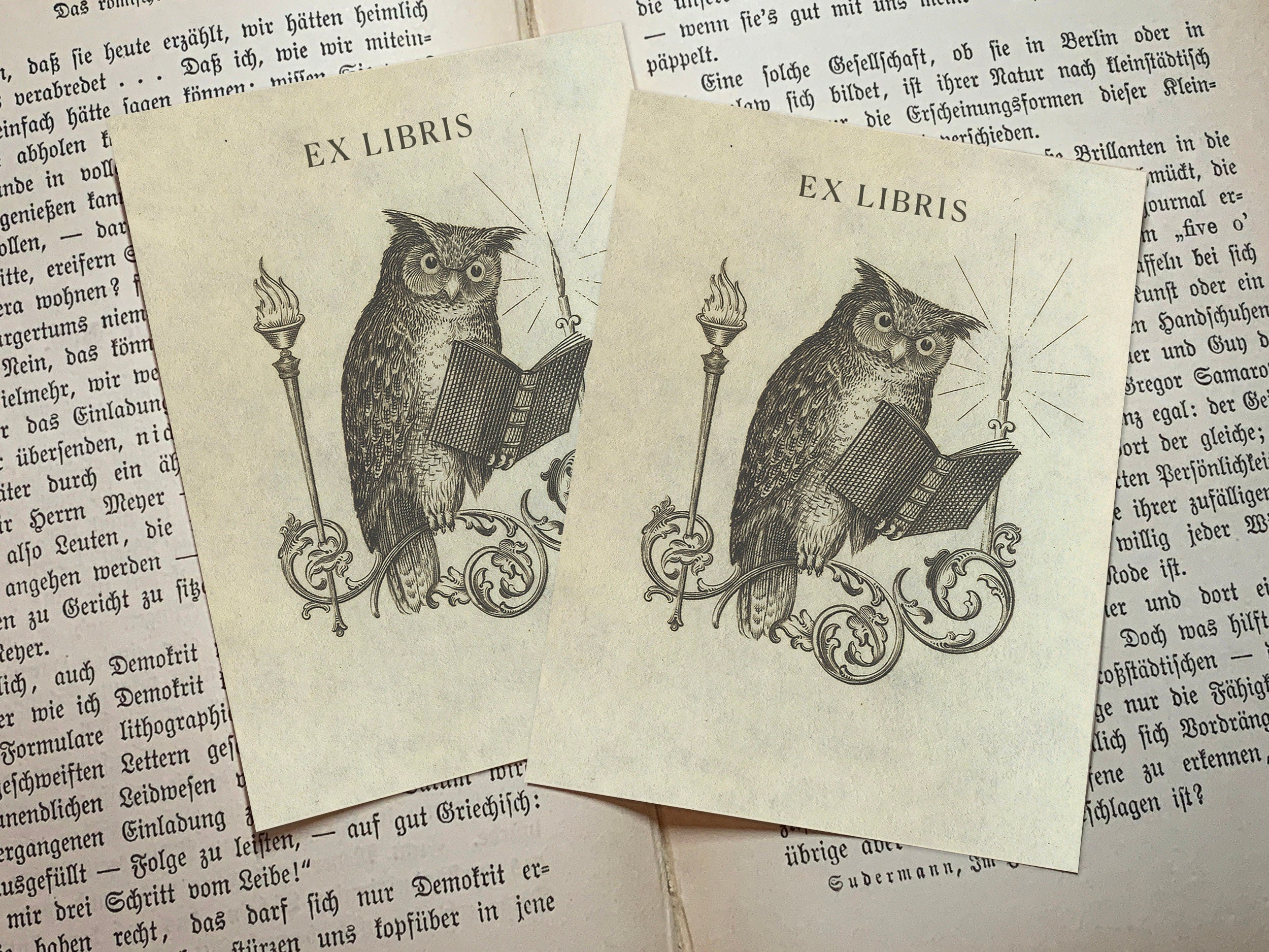 Perched Owl, Personalized Owl Ex-Libris Bookplates, Crafted on Traditional Gummed Paper, 3in x 4in, Set of 30