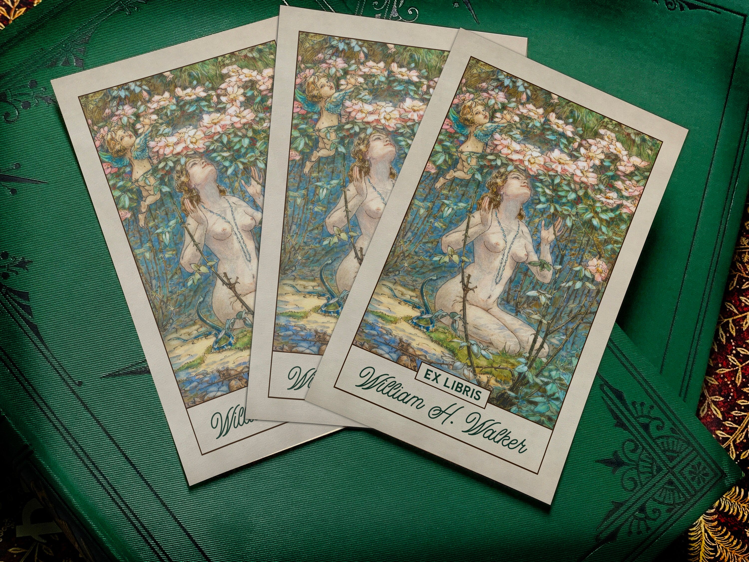 Fairy Bower, Personalized Ex-Libris Bookplates, Crafted on Traditional Gummed Paper, 2.5in x 4in, Set of 30