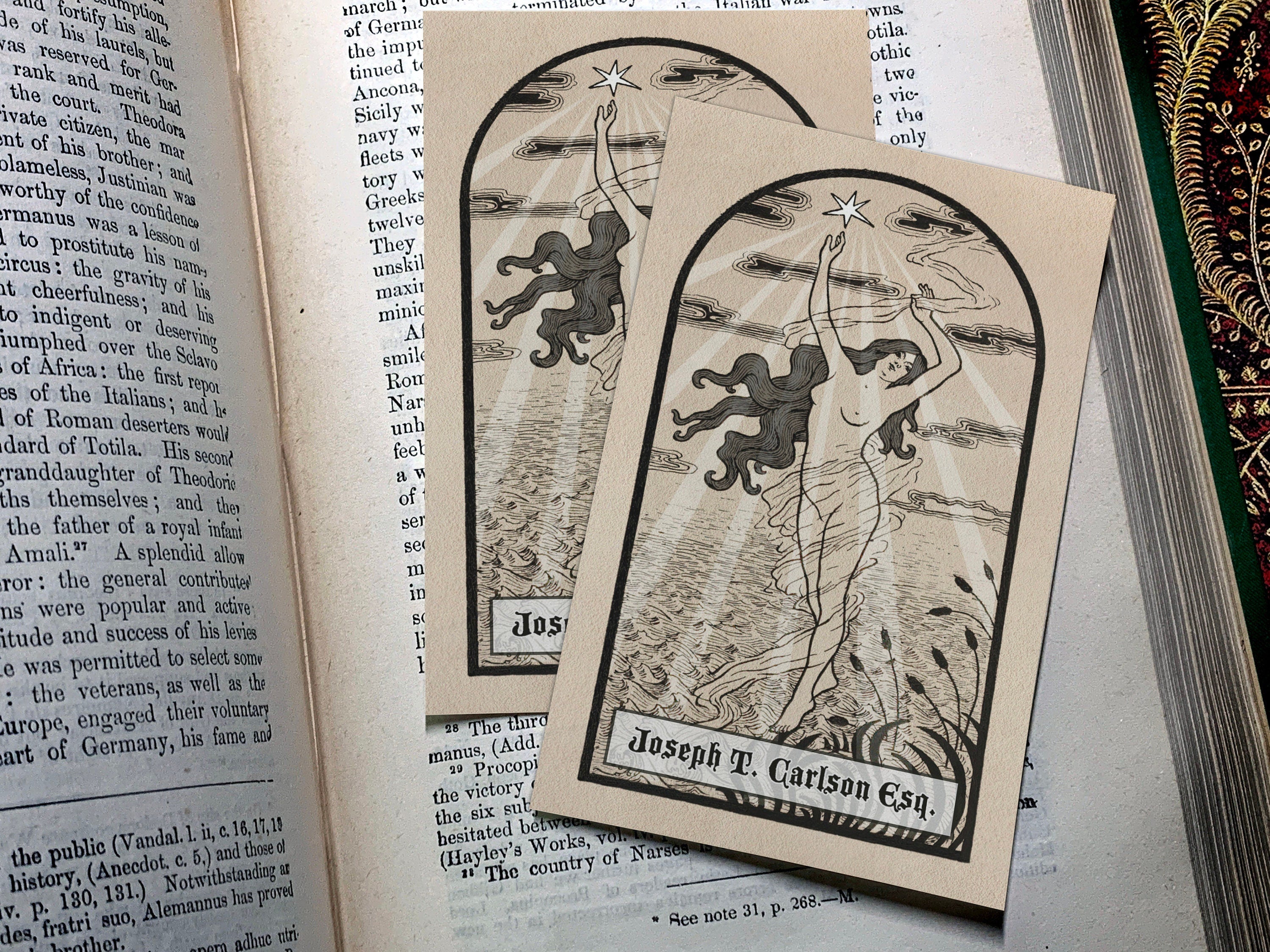 Starshine, Personalized Ex-Libris Bookplates, Crafted on Traditional Gummed Paper, 2.5in x 4in, Set of 30