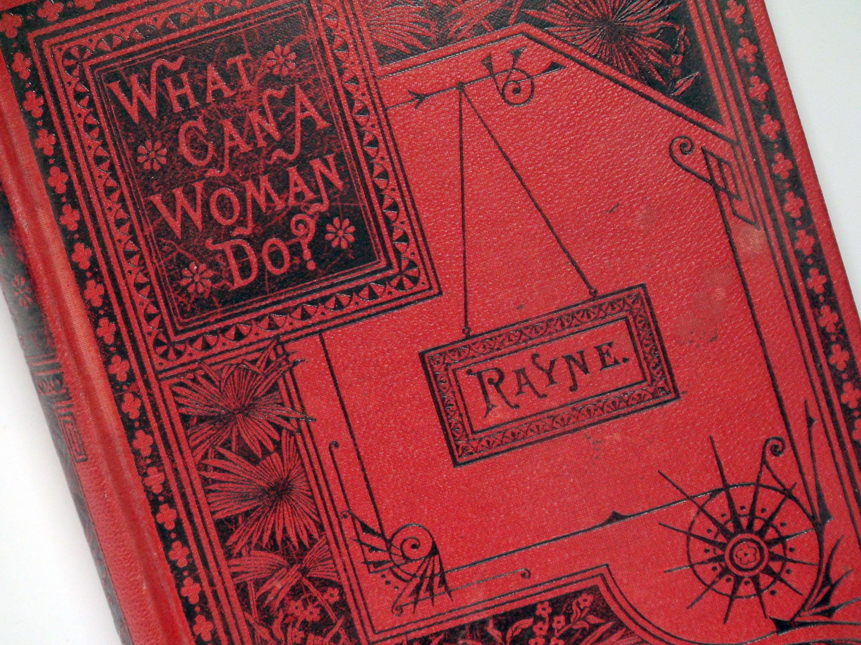 What Can a Woman Do?, Mrs. M. L. Rayne, Illustrated, 1st Ed, Rare Feminist Classic, 1893