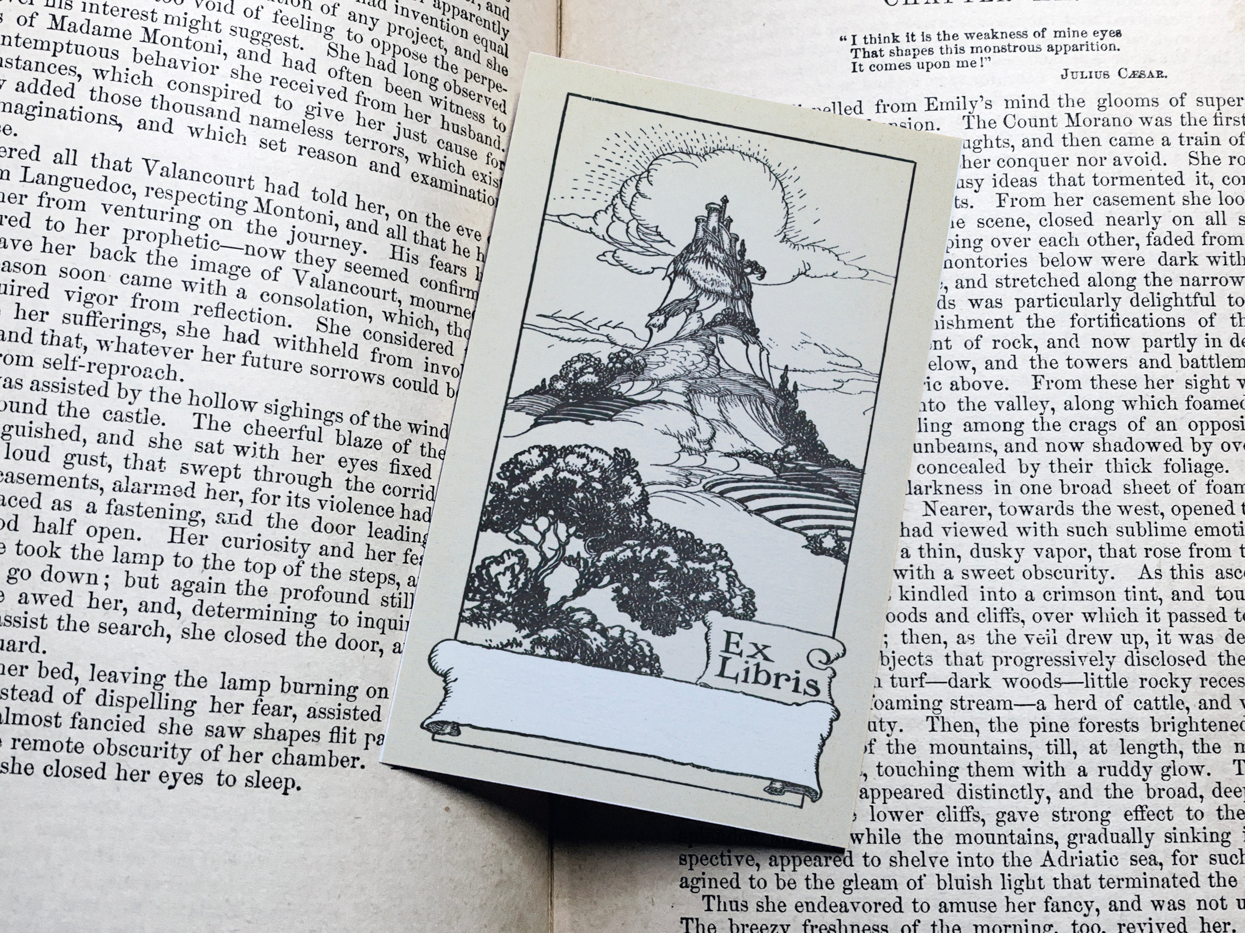 Shining Castle on the Hill, Personalized Ex-Libris Bookplates, Crafted on Traditional Gummed Paper, 2.5in x 4in, Set of 30
