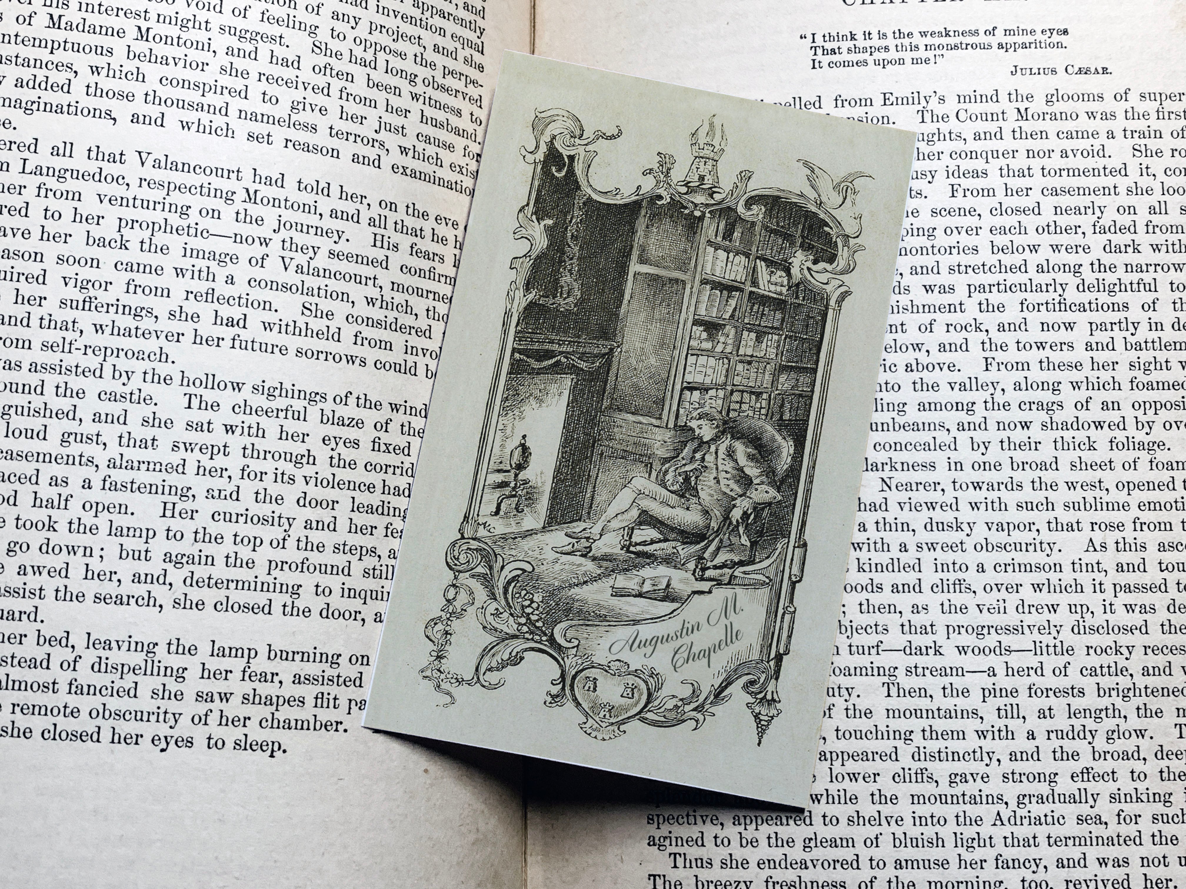 Reverie by the Fire, Personalized Ex-Libris Bookplates, Crafted on Traditional Gummed Paper, 2.5in x 4in, Set of 30