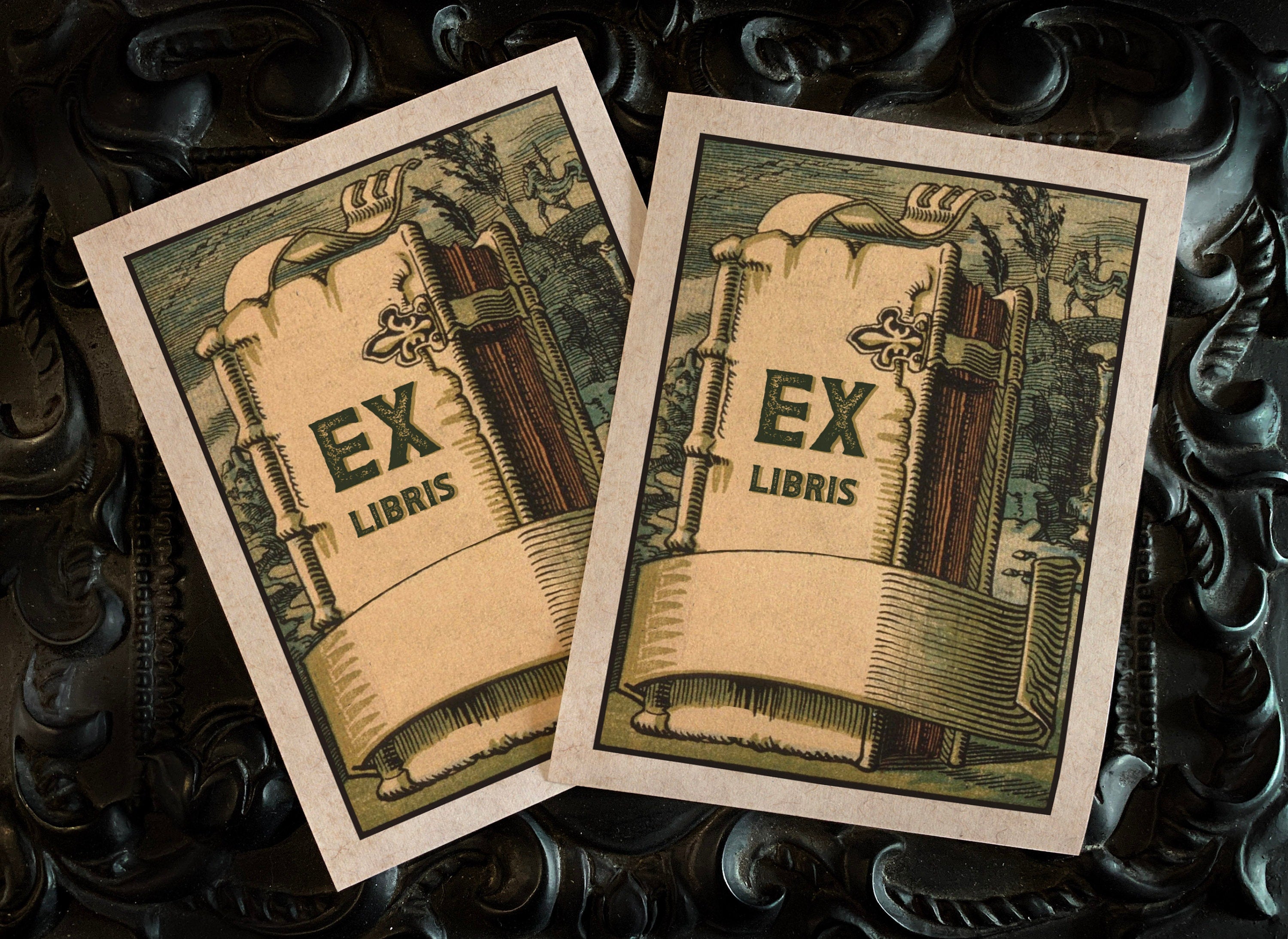 Fantasy Tome, Personalized Ex-Libris Bookplates, Crafted on Traditional Gummed Paper, 3in x 4in, Set of 30