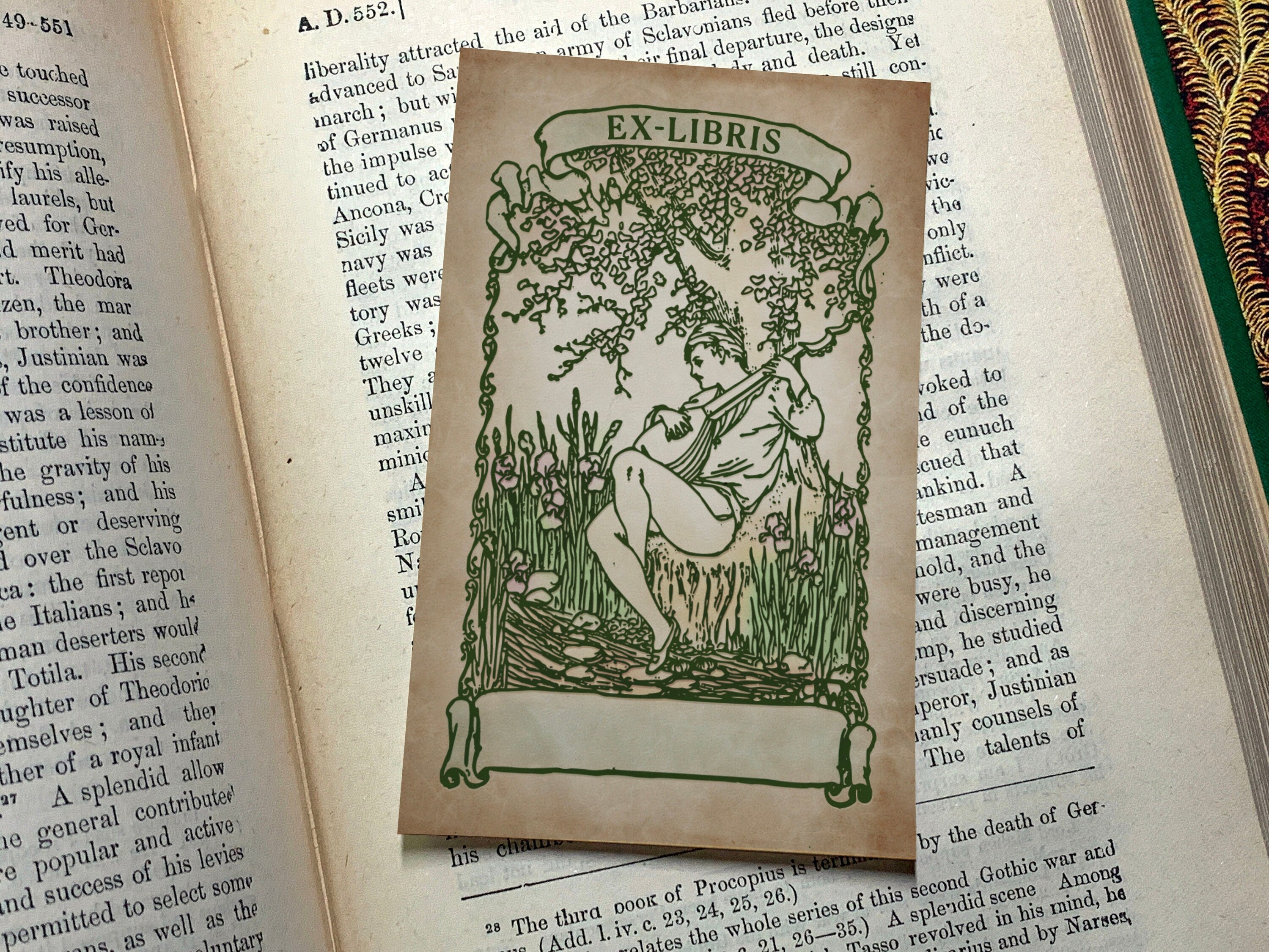 Bard with Lute, Personalized Ex-Libris Bookplates, Crafted on Traditional Gummed Paper, 2.5in x 4in, Set of 30