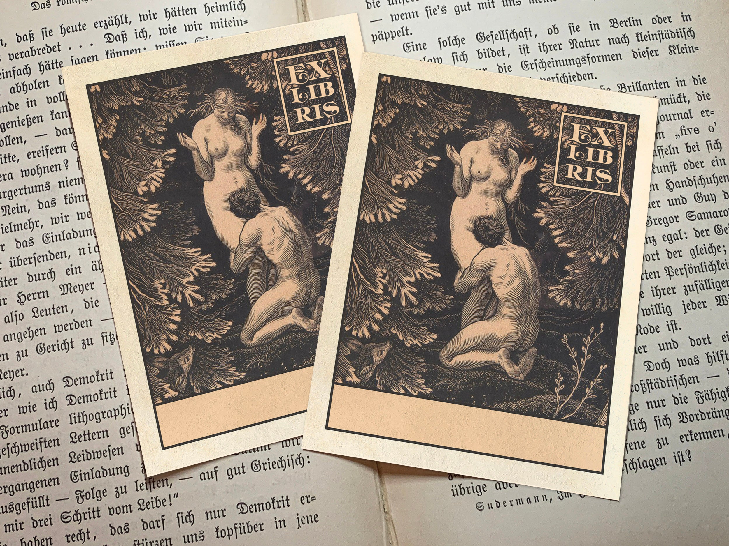 In Paradise, Personalized Erotic Ex-Libris Bookplates, Crafted on Traditional Gummed Paper, 3in x 4in, Set of 30