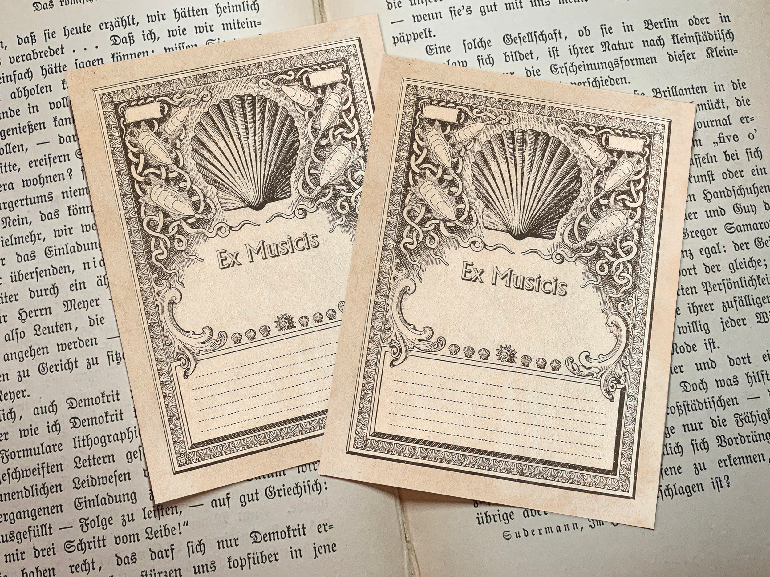 Seashells, Ex-Musicis Bookplates, Crafted on Traditional Gummed Paper, 3in x 4in, Set of 30