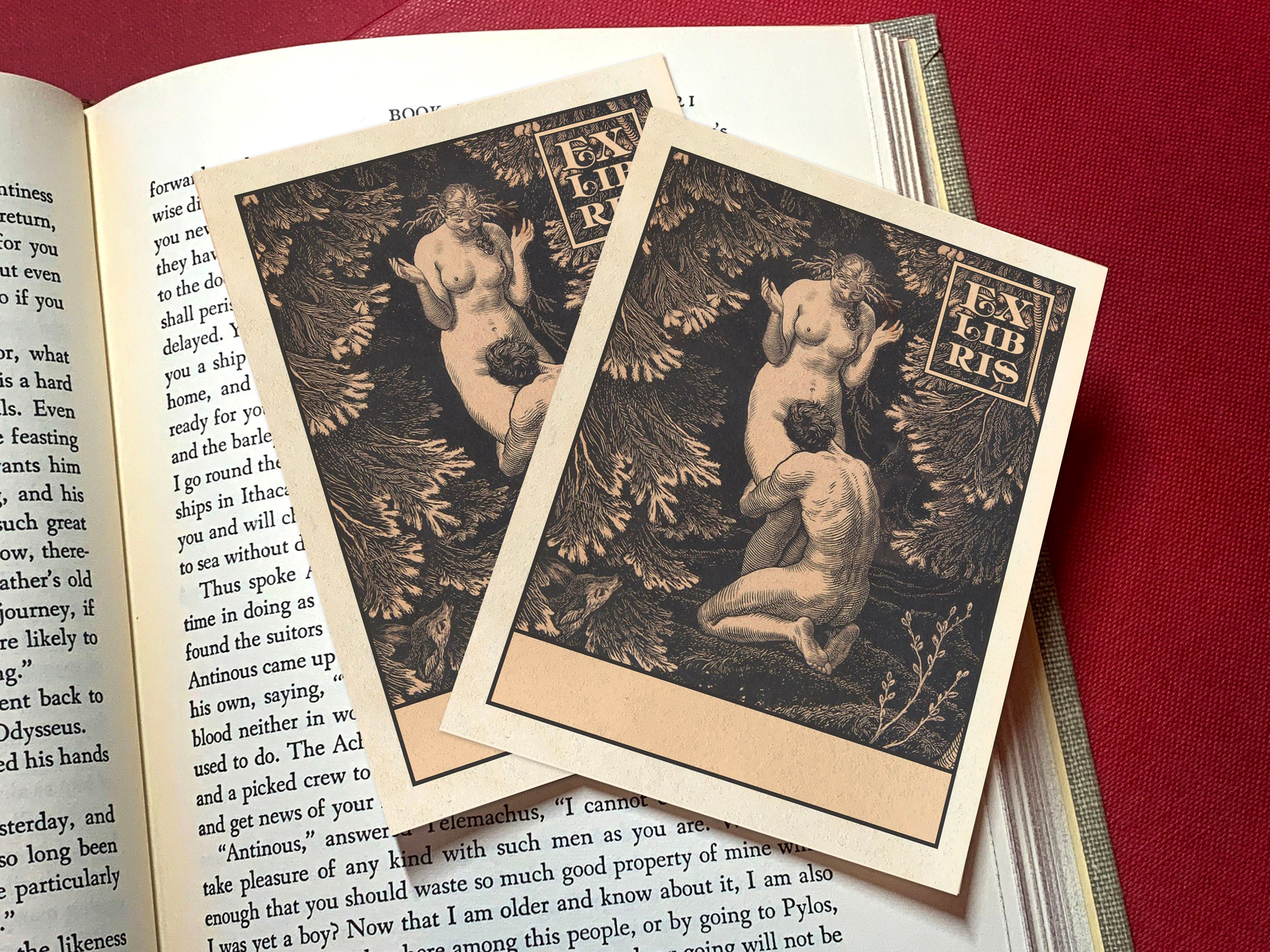 In Paradise, Personalized Erotic Ex-Libris Bookplates, Crafted on Traditional Gummed Paper, 3in x 4in, Set of 30