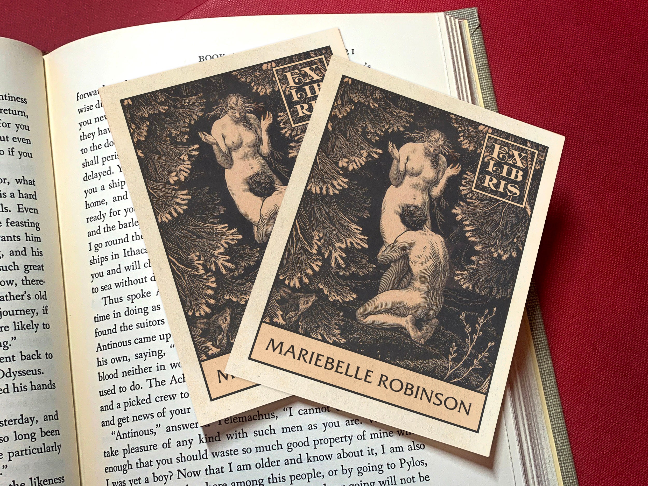 In Paradise, Personalized Erotic Ex-Libris Bookplates, Crafted on Traditional Gummed Paper, 3in x 4in, Set of 30