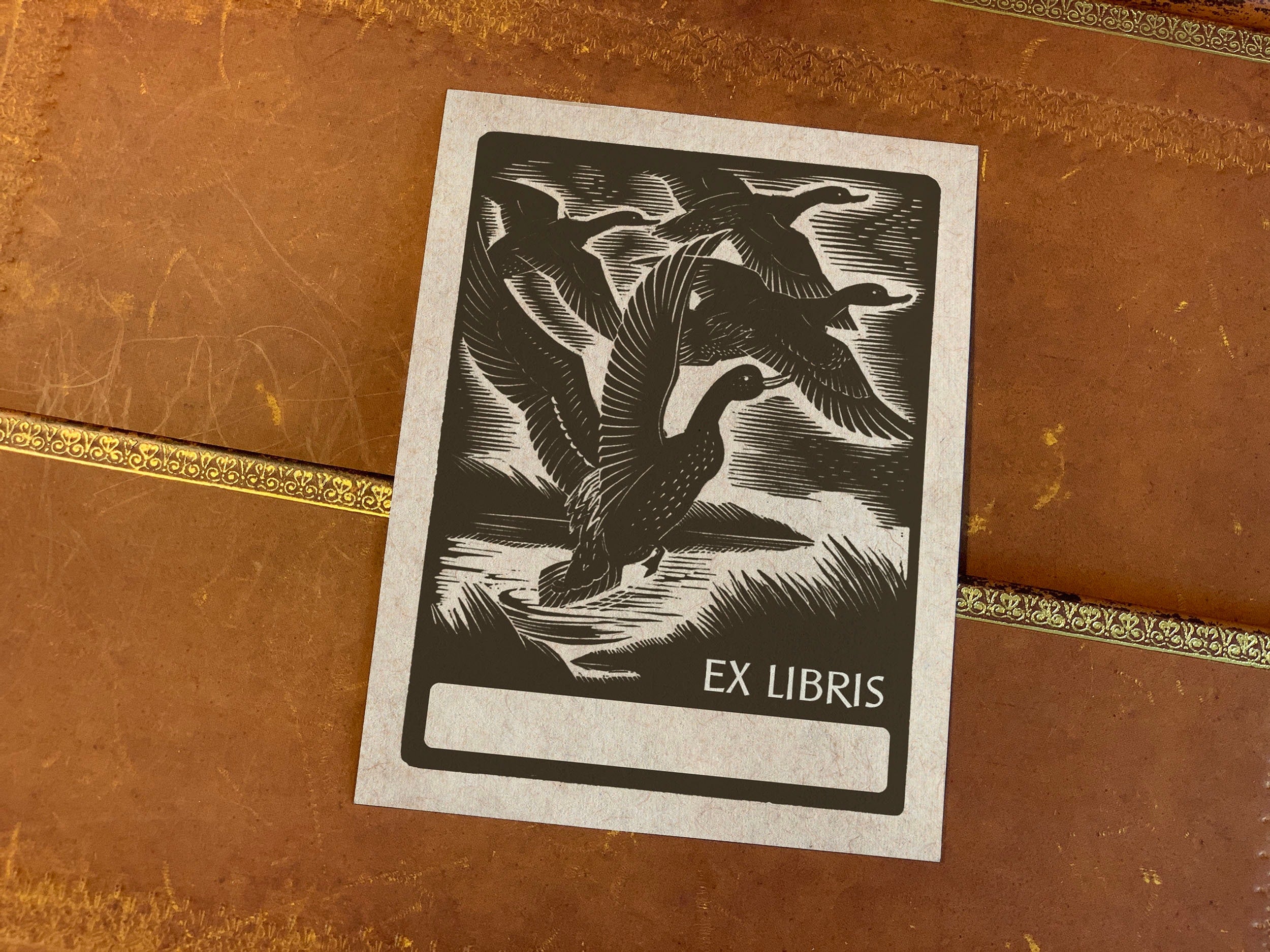 Duck Pond, Personalized Ex-Libris Bookplates, Crafted on Traditional Gummed Paper, 3in x 4in, Set of 30