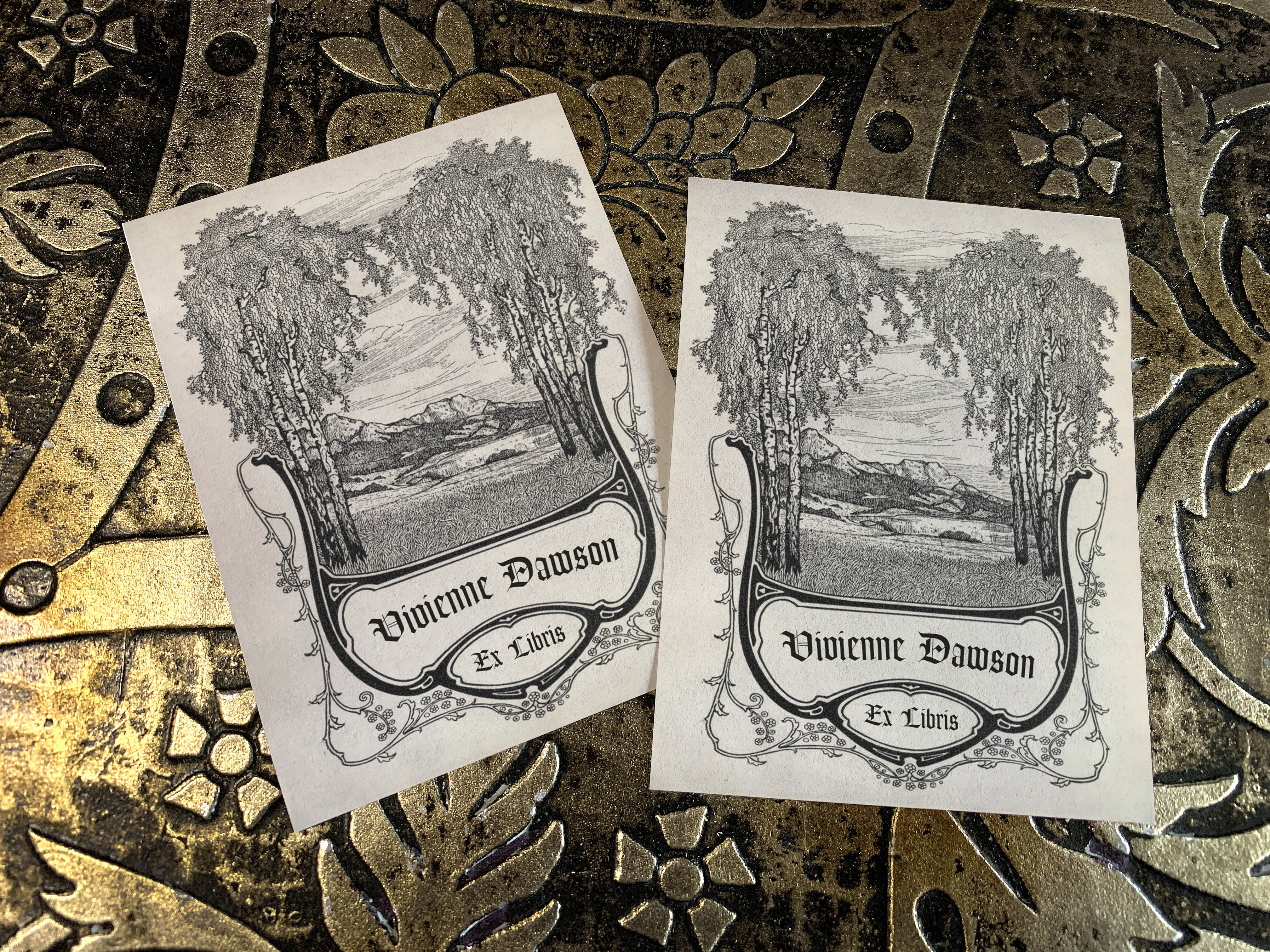 Mountain View, Personalized Ex-Libris Bookplates, Crafted on Traditional Gummed Paper, 3in x 4in, Set of 30