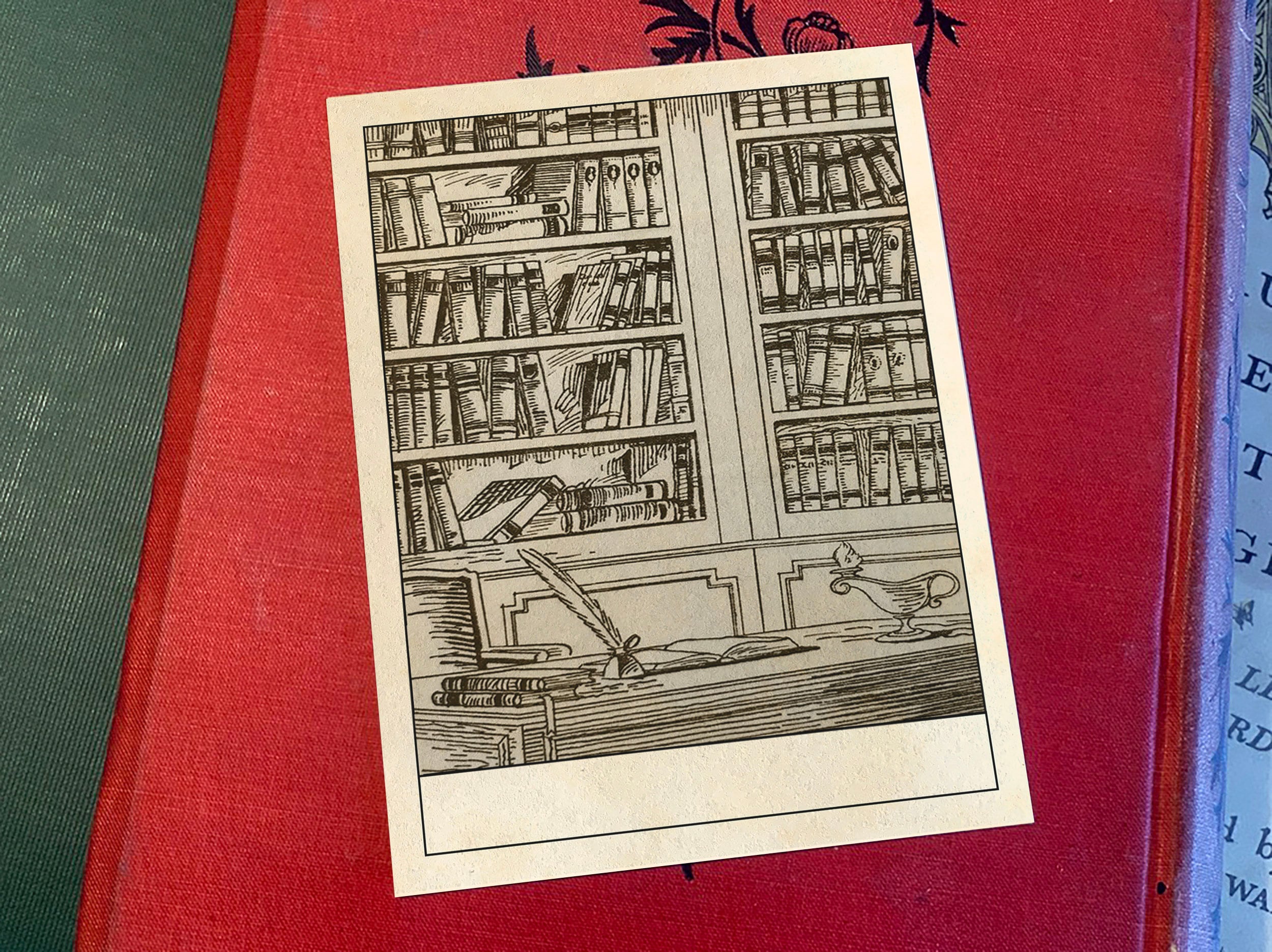 Bookcases, Personalized Ex-Libris Bookplates, Crafted on Traditional Gummed Paper, 3in x 4in, Set of 30