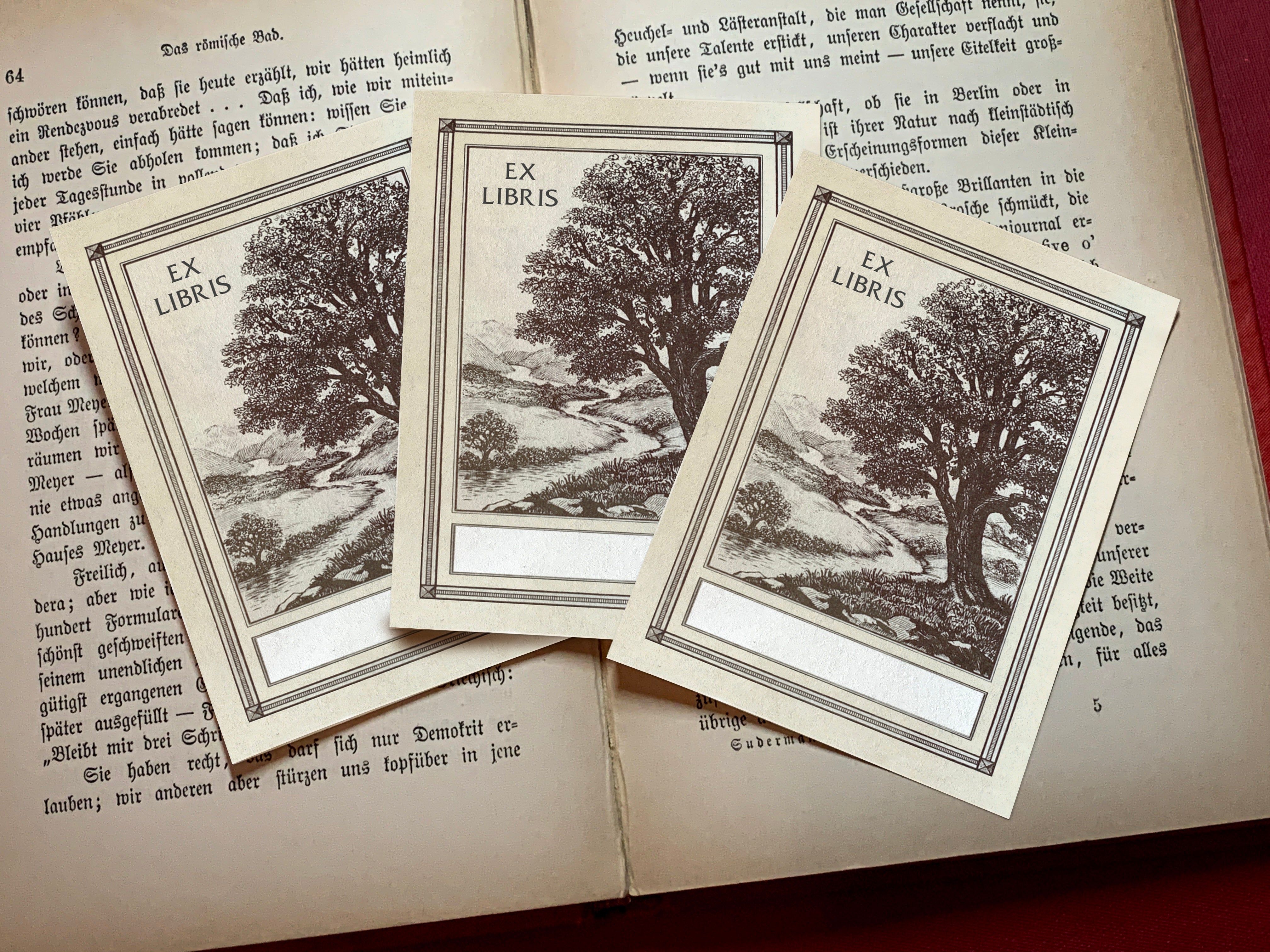 Oak and Stream, Personalized Ex-Libris Bookplates, Crafted on Traditional Gummed Paper, 3in x 4in, Set of 30