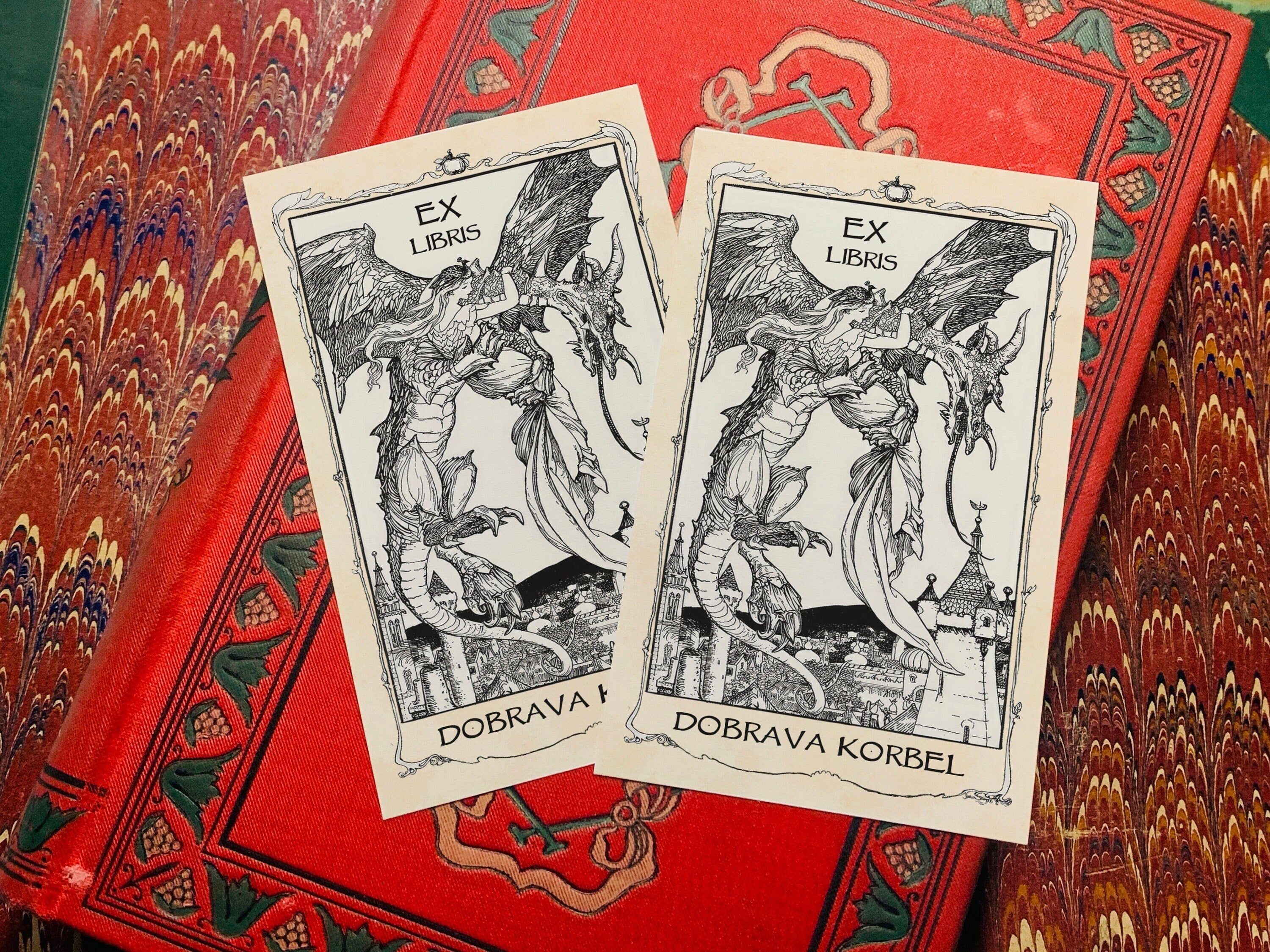 The Lady and the Dragon, Fairytale Personalized Ex-Libris Bookplates, Crafted on Traditional Gummed Paper, 2.5in x 4in, Set of 30