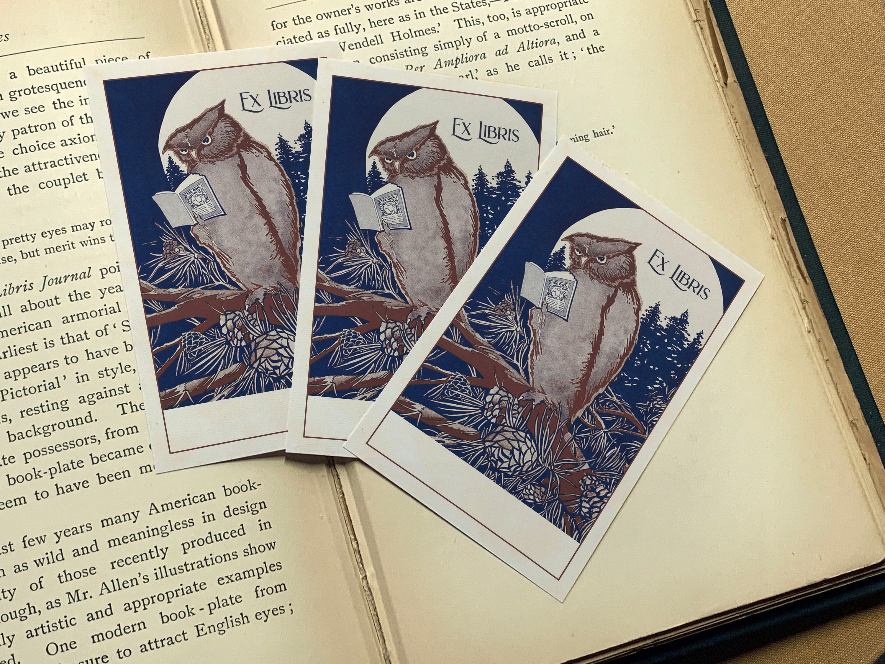 Owl Reading Book, Personalized Ex Libris Bookplates, Crafted on Traditional Gummed Paper, 3in x 4in, Set of 30