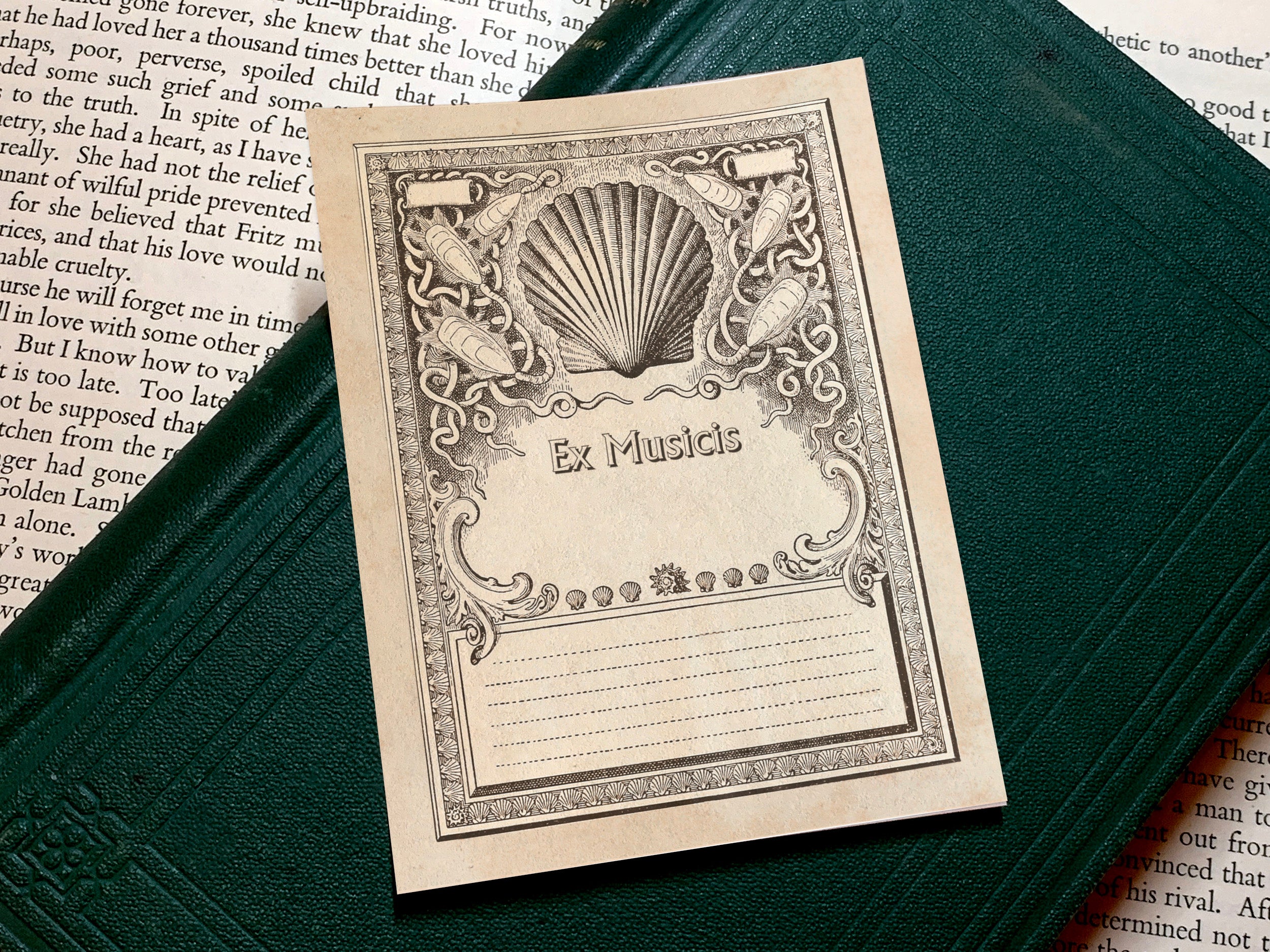 Seashells, Ex-Musicis Bookplates, Crafted on Traditional Gummed Paper, 3in x 4in, Set of 30