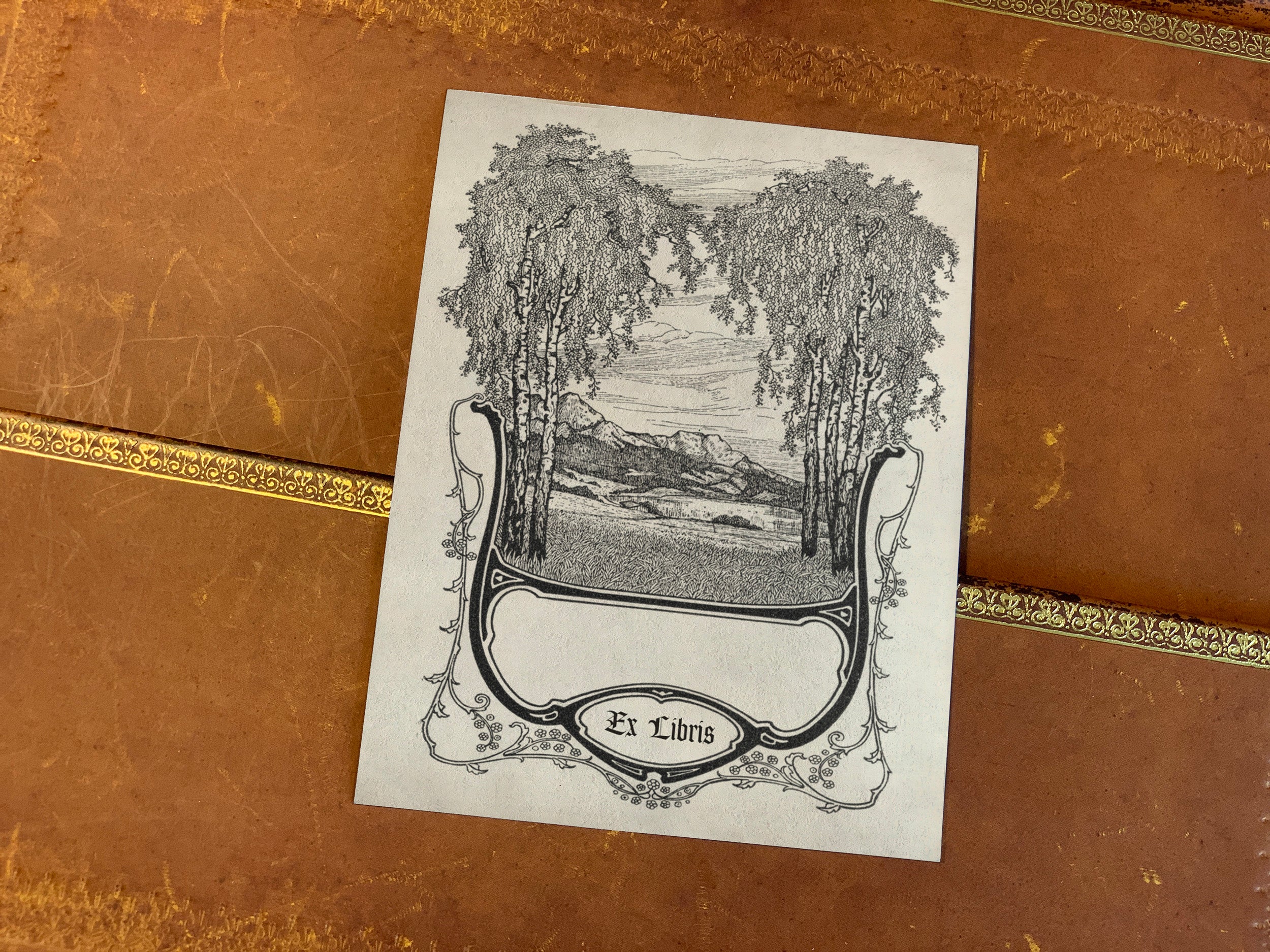 Mountain View, Personalized Ex-Libris Bookplates, Crafted on Traditional Gummed Paper, 3in x 4in, Set of 30