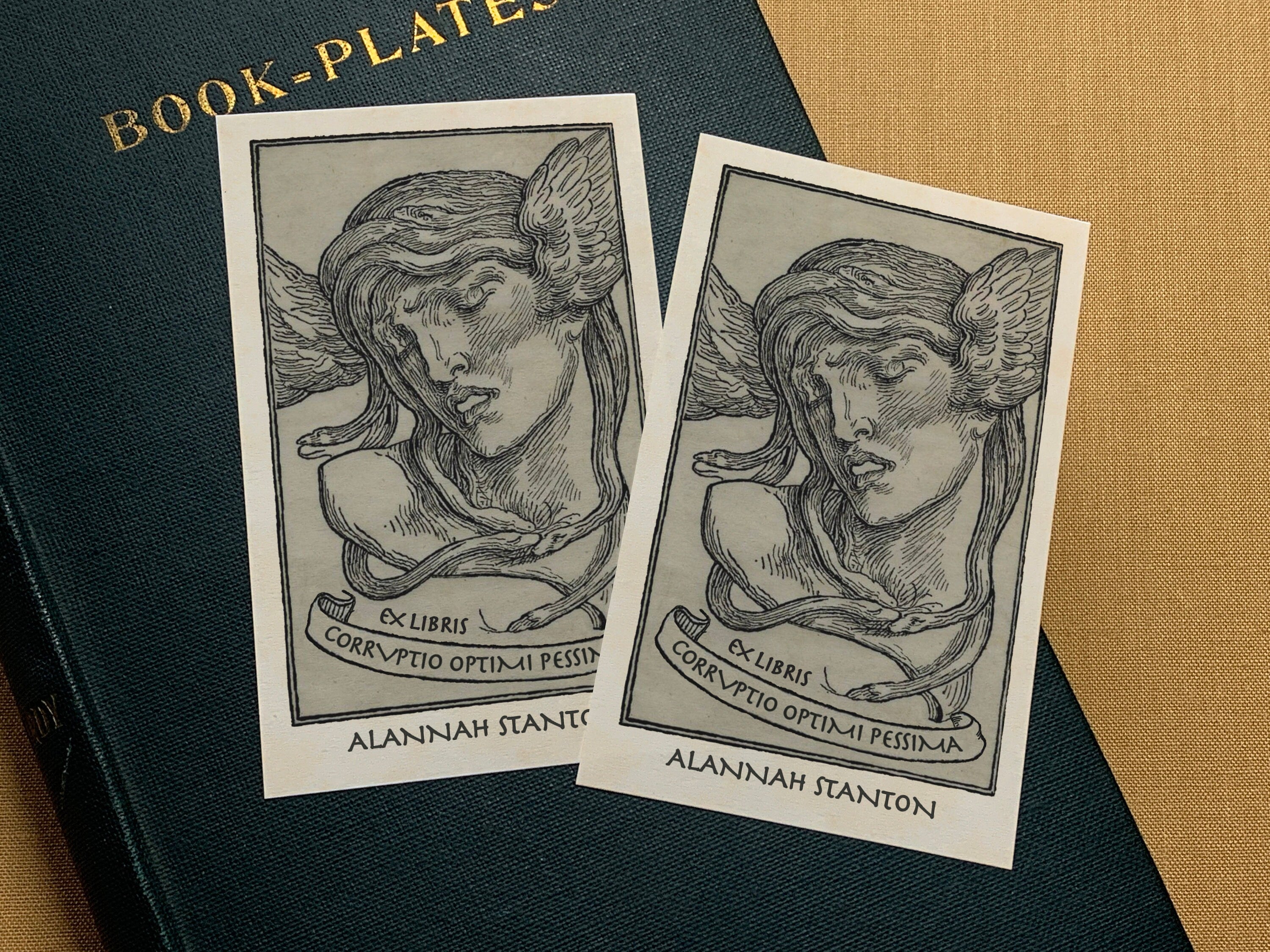 Medusa's Triumph, Mythological, Personalized Ex-Libris Bookplates, Crafted on Traditional Gummed Paper, 2.5in x 4in, Set of 30