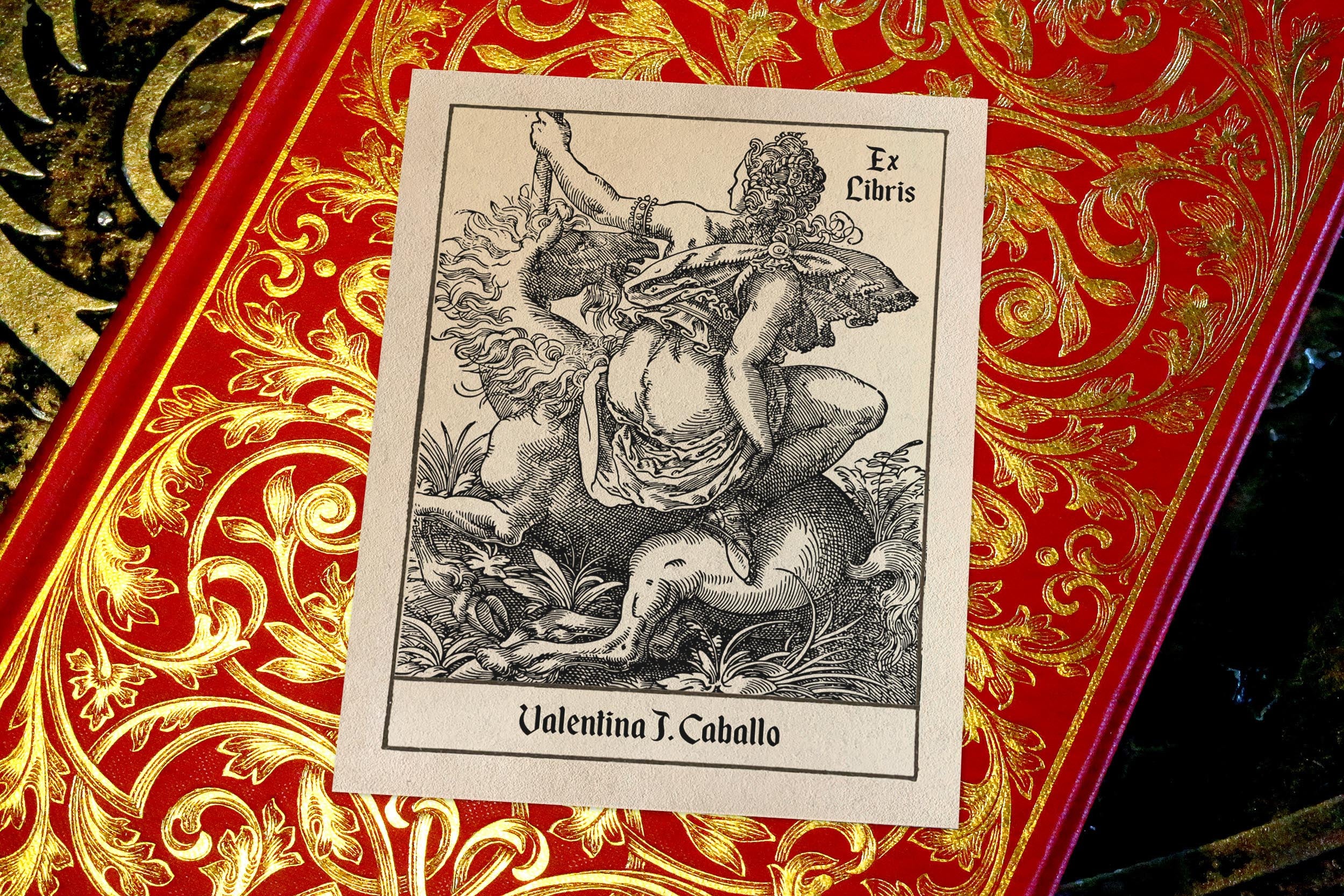 Woman and Unicorn, Personalized Erotic Ex-Libris Bookplates, Crafted on Traditional Gummed Paper, 3in x 4in, Set of 30