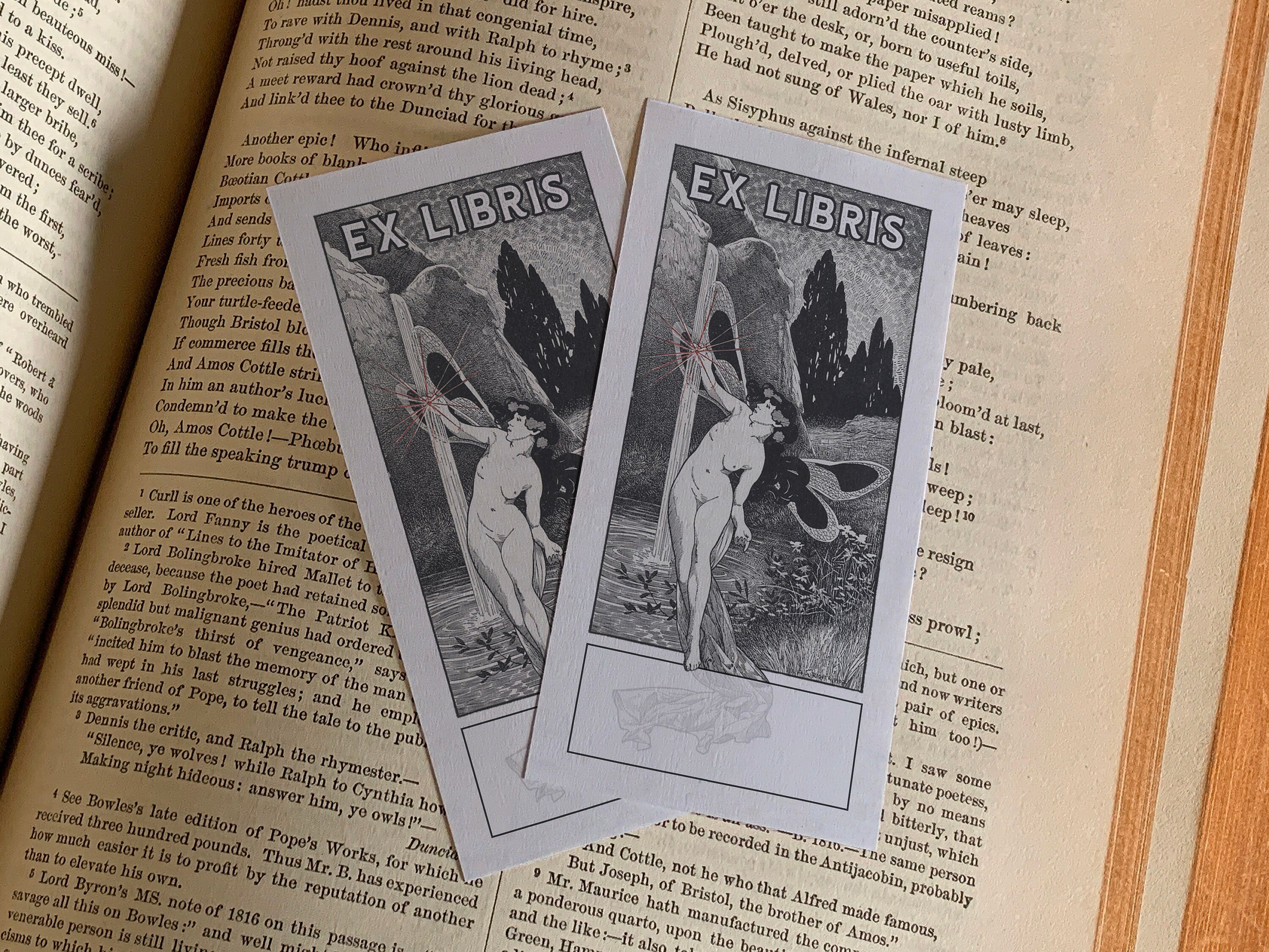 Waterfall Fairy, Personalized Ex-Libris Bookplates, Crafted on Traditional Gummed Paper, 2in x 4in, Set of 30