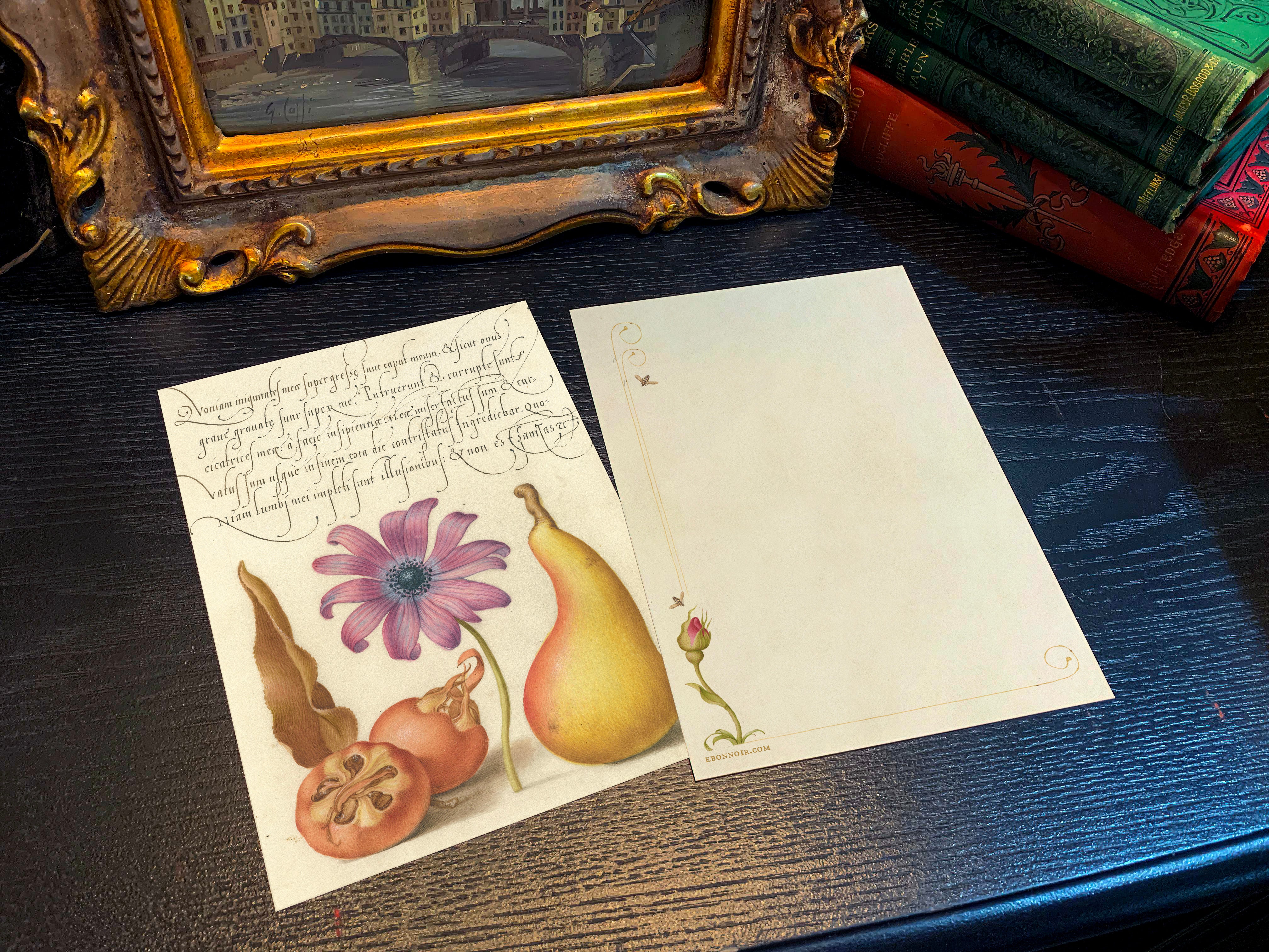 Model Book of Calligraphy, Medlar, Poppy Anemone, and Pear, 5in x 7in Everyday Notecards With White Envelopes