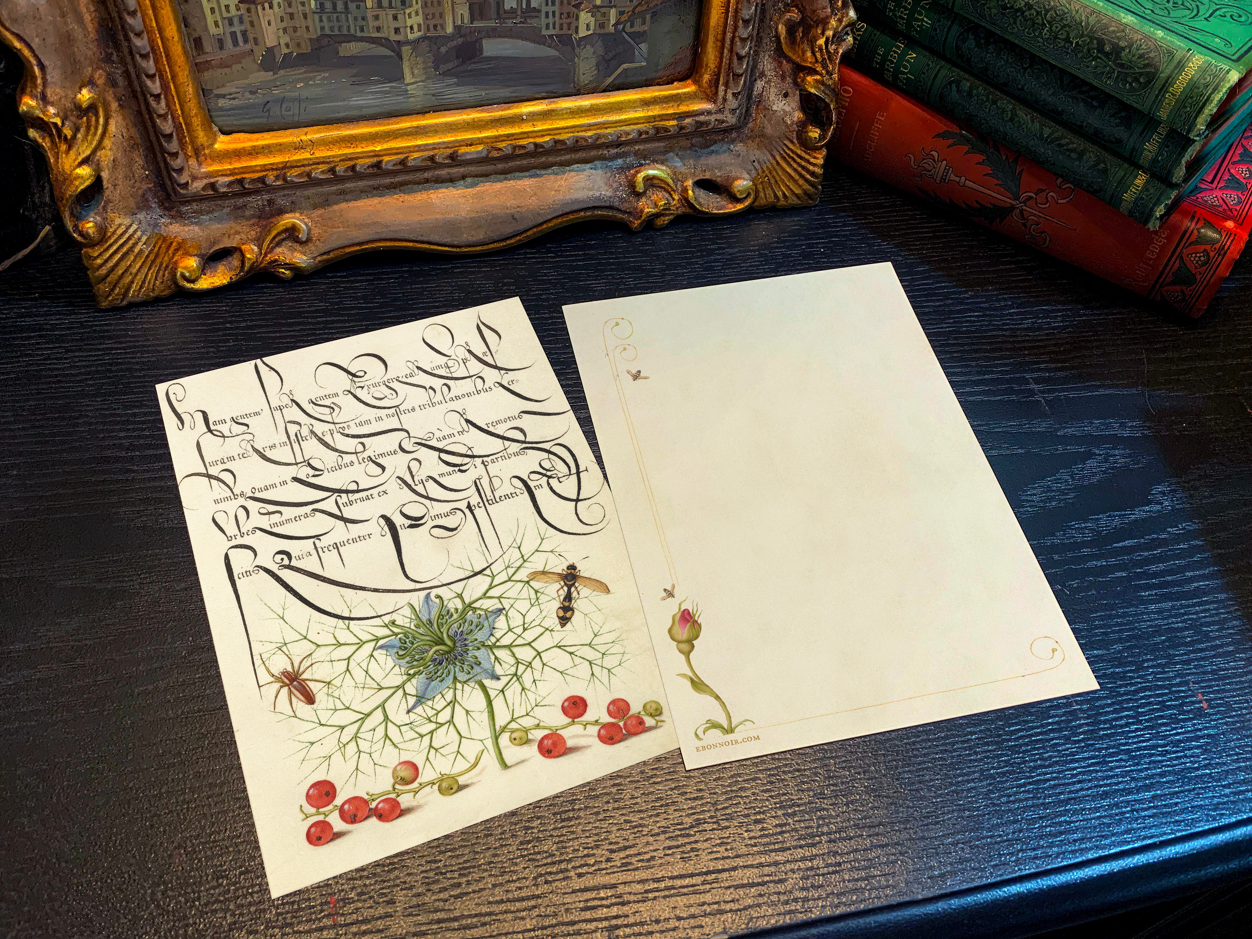 Model Book of Calligraphy, Spider, Love-in-a-Mist, and Red Currant, 5in x 7in Everyday Notecards With White Envelopes