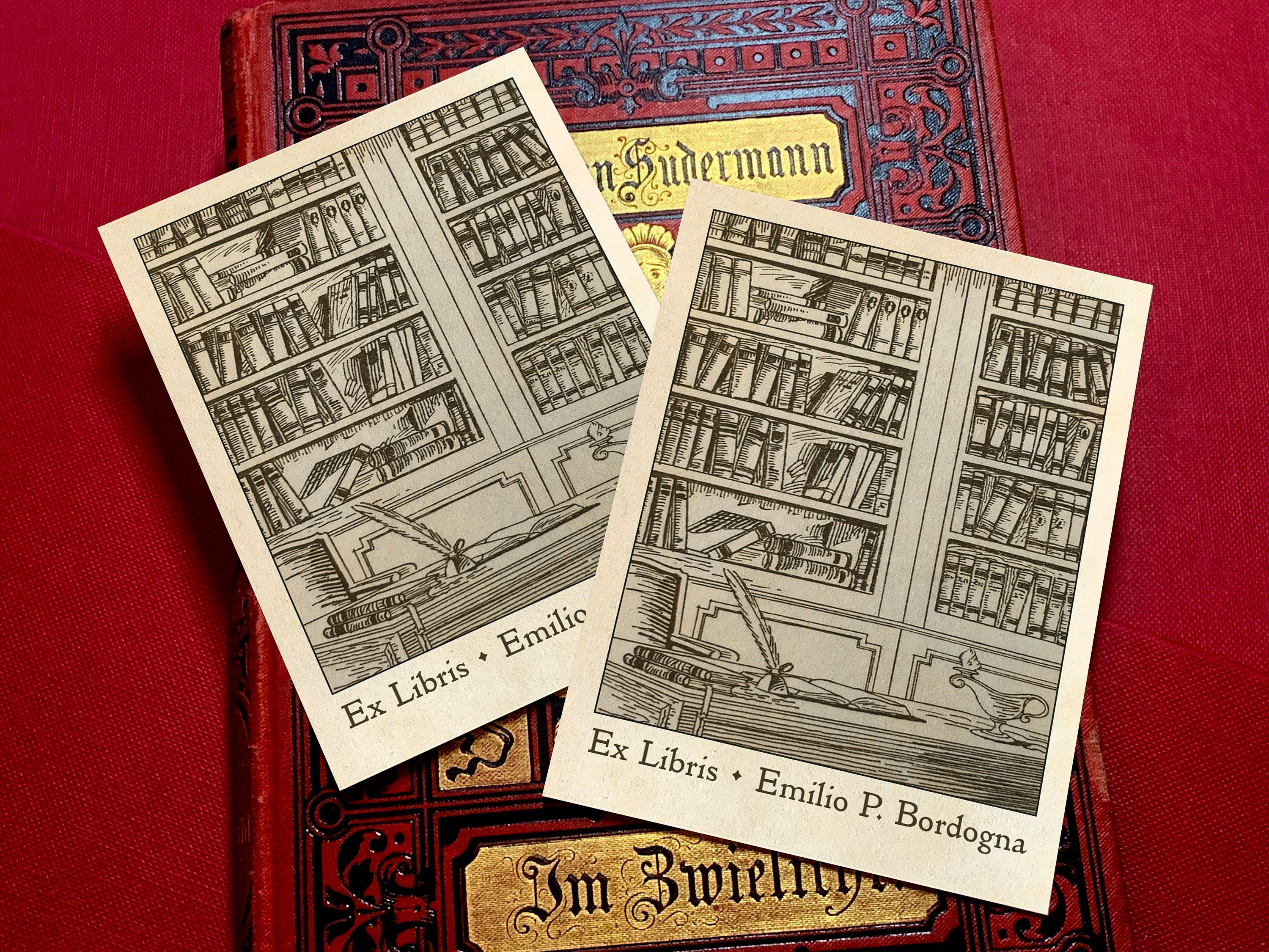 Bookcases, Personalized Ex-Libris Bookplates, Crafted on Traditional Gummed Paper, 3in x 4in, Set of 30