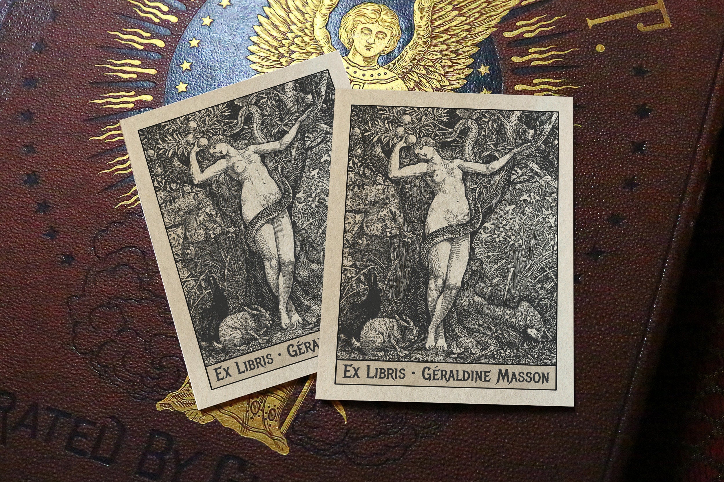 Eve and Serpent by Walter Crane, Personalized Ex-Libris Bookplates, Crafted on Traditional Gummed Paper, 3in x 4in, Set of 30