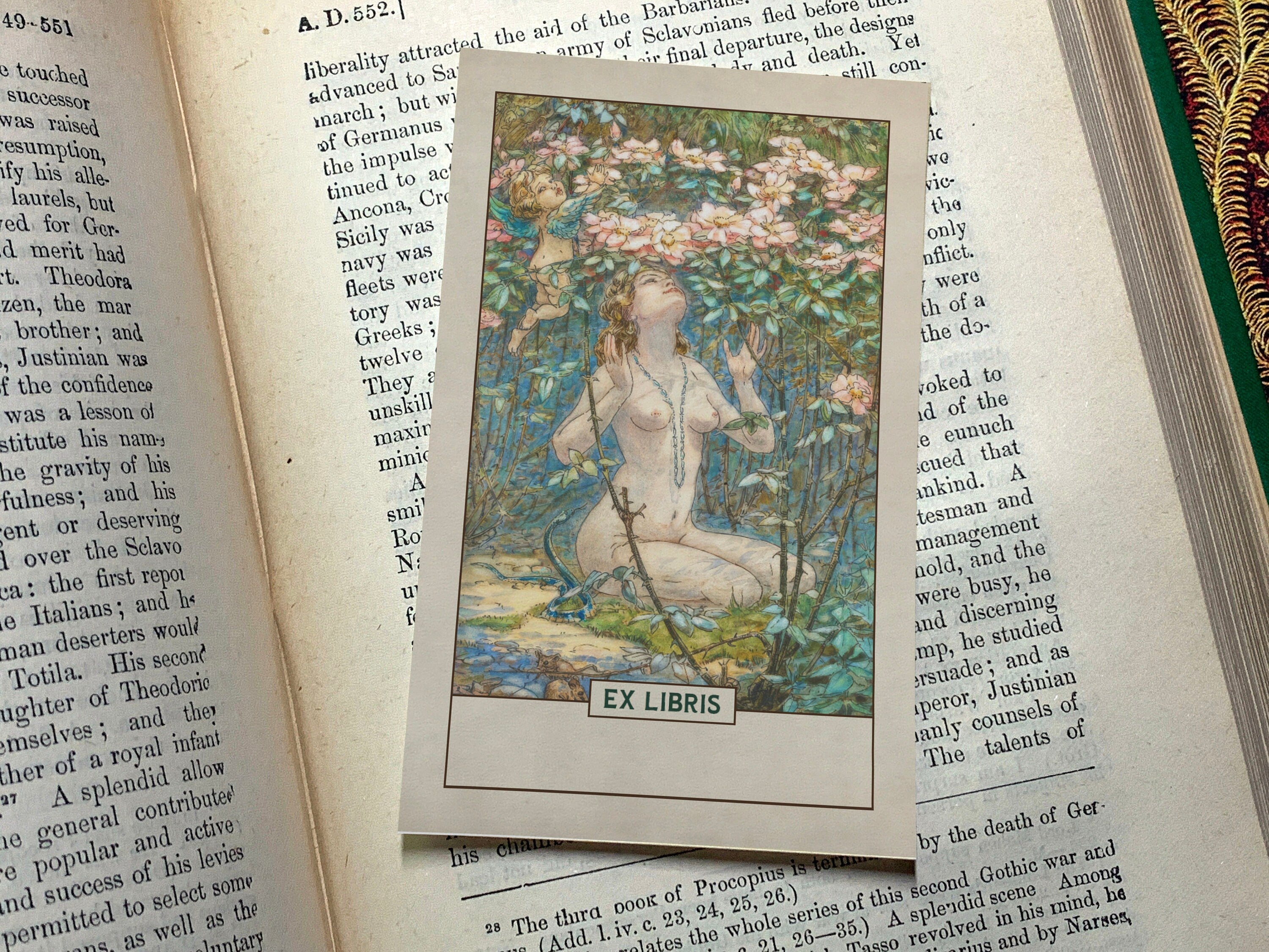 Fairy Bower, Personalized Ex-Libris Bookplates, Crafted on Traditional Gummed Paper, 2.5in x 4in, Set of 30