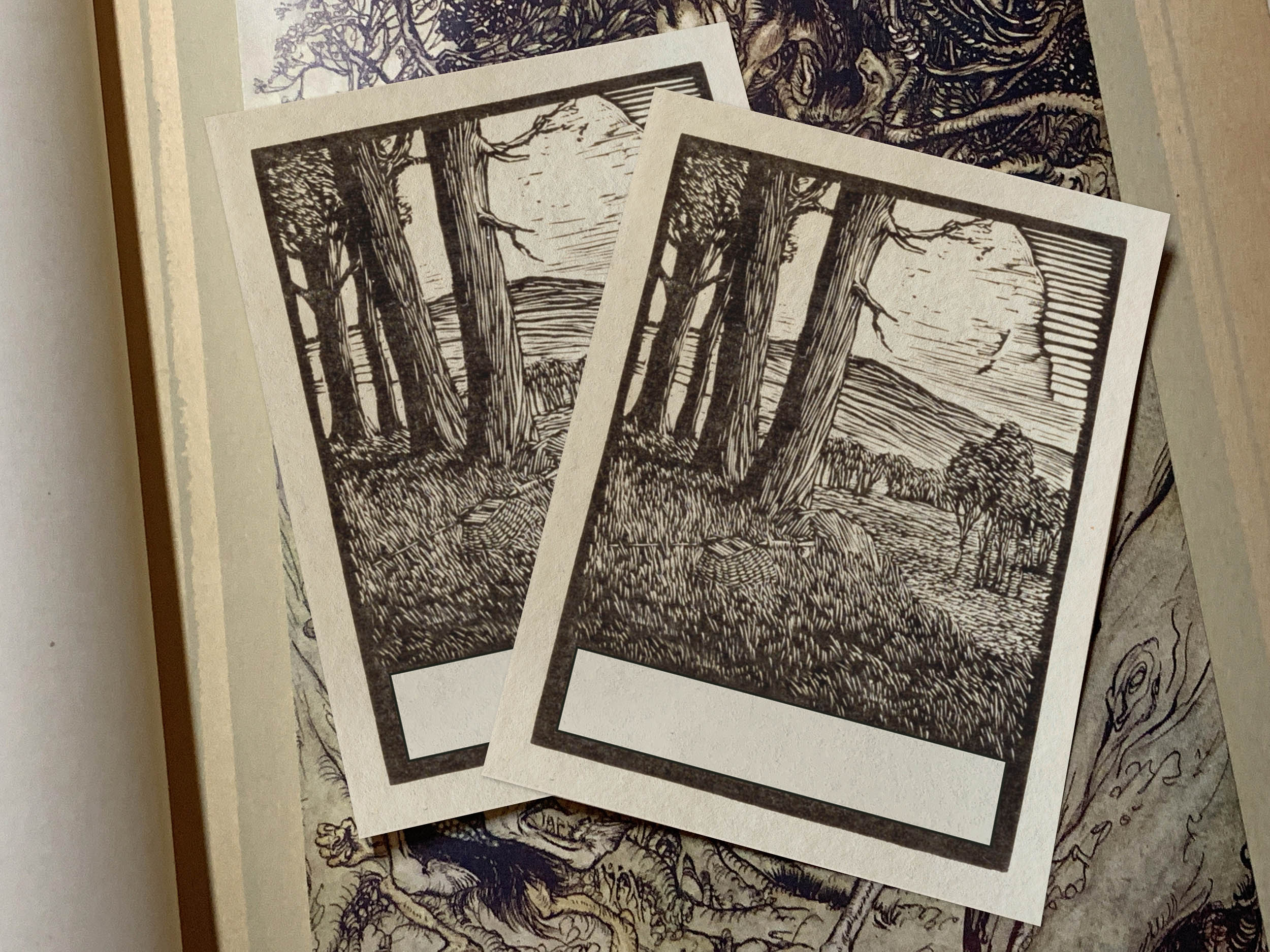 Forest Edge, Personalized Ex-Libris Bookplates, Crafted on Traditional Gummed Paper, 3in x 4in, Set of 30