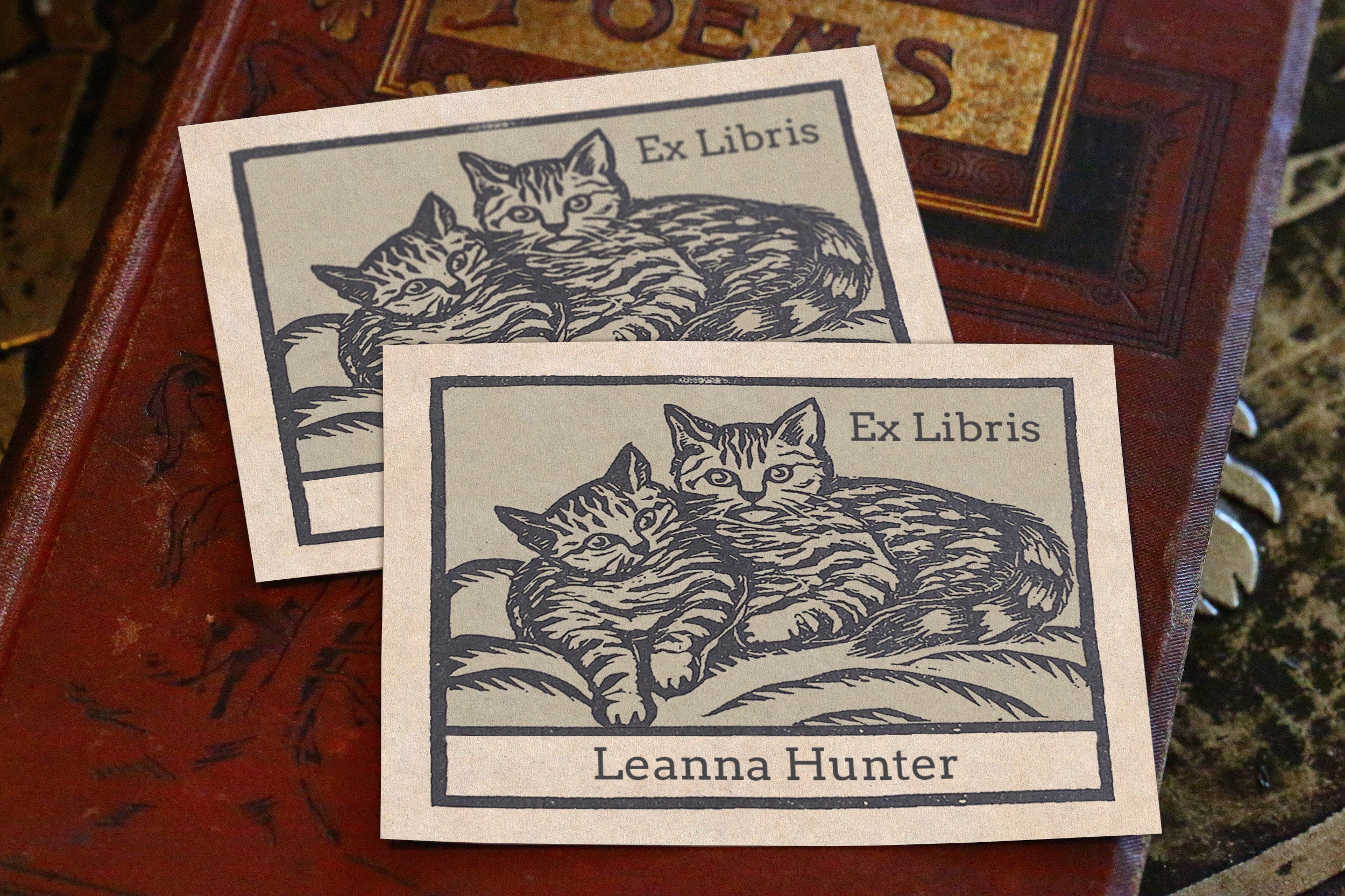 Pair of Kittens, Personalized Ex-Libris Bookplates, Crafted on Traditional Gummed Paper, 3.25in x 2.5in, Set of 30