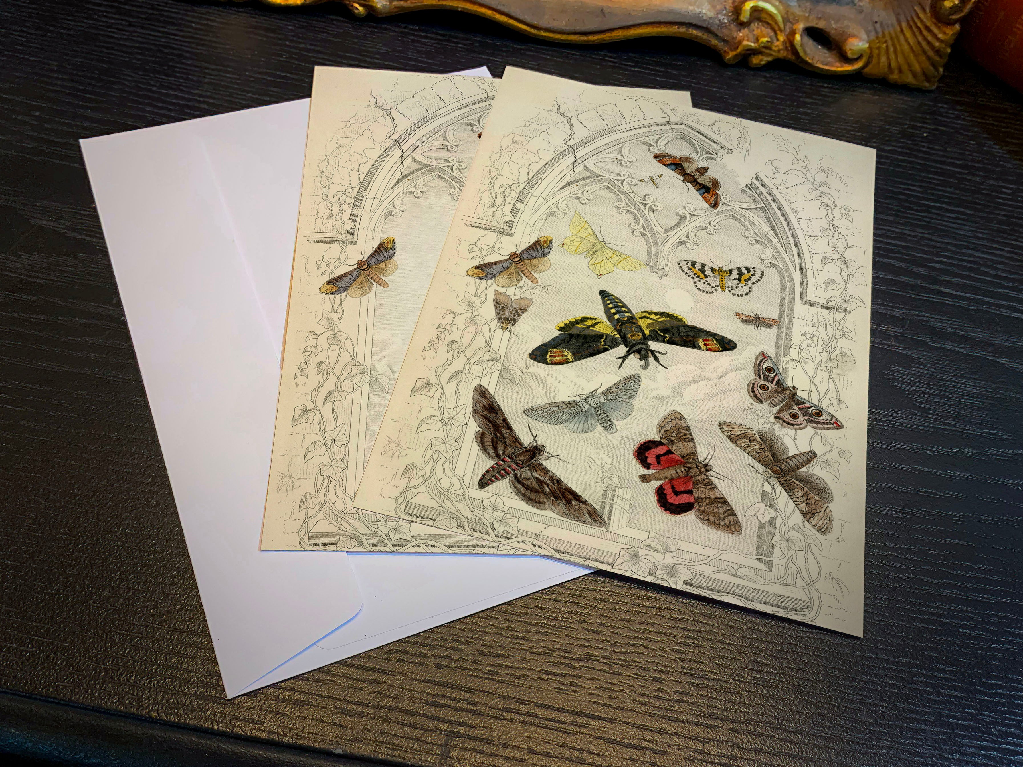 Moths by L. M. Budgen c1850,  Set of 5in x 7in Flat Notecards for Everyday Correspondence With White Envelopes