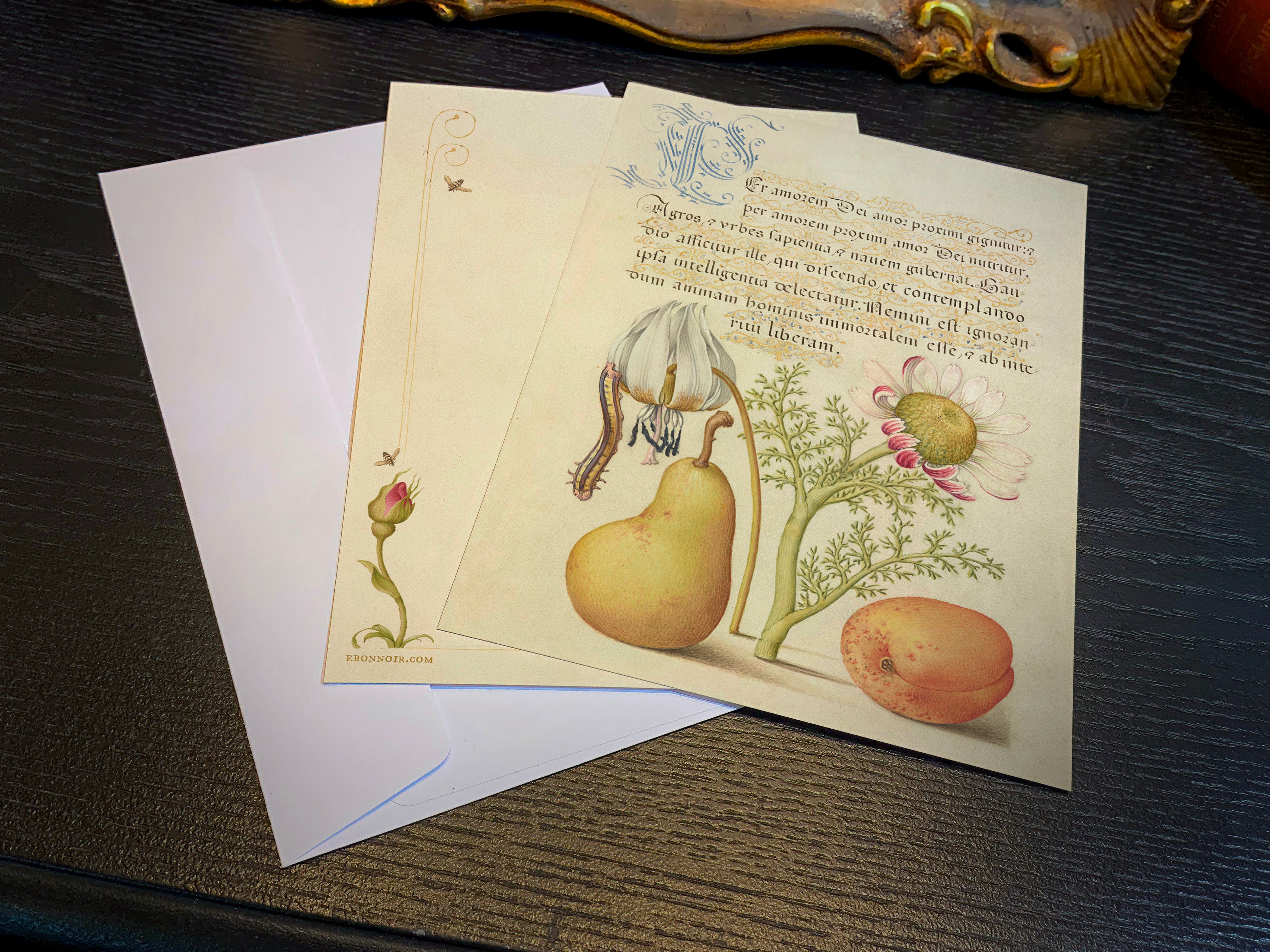 Model Book of Calligraphy, Caterpillar, Violet, Pear, and Apricot, 5in x 7in Everyday Notecards With White Envelopes