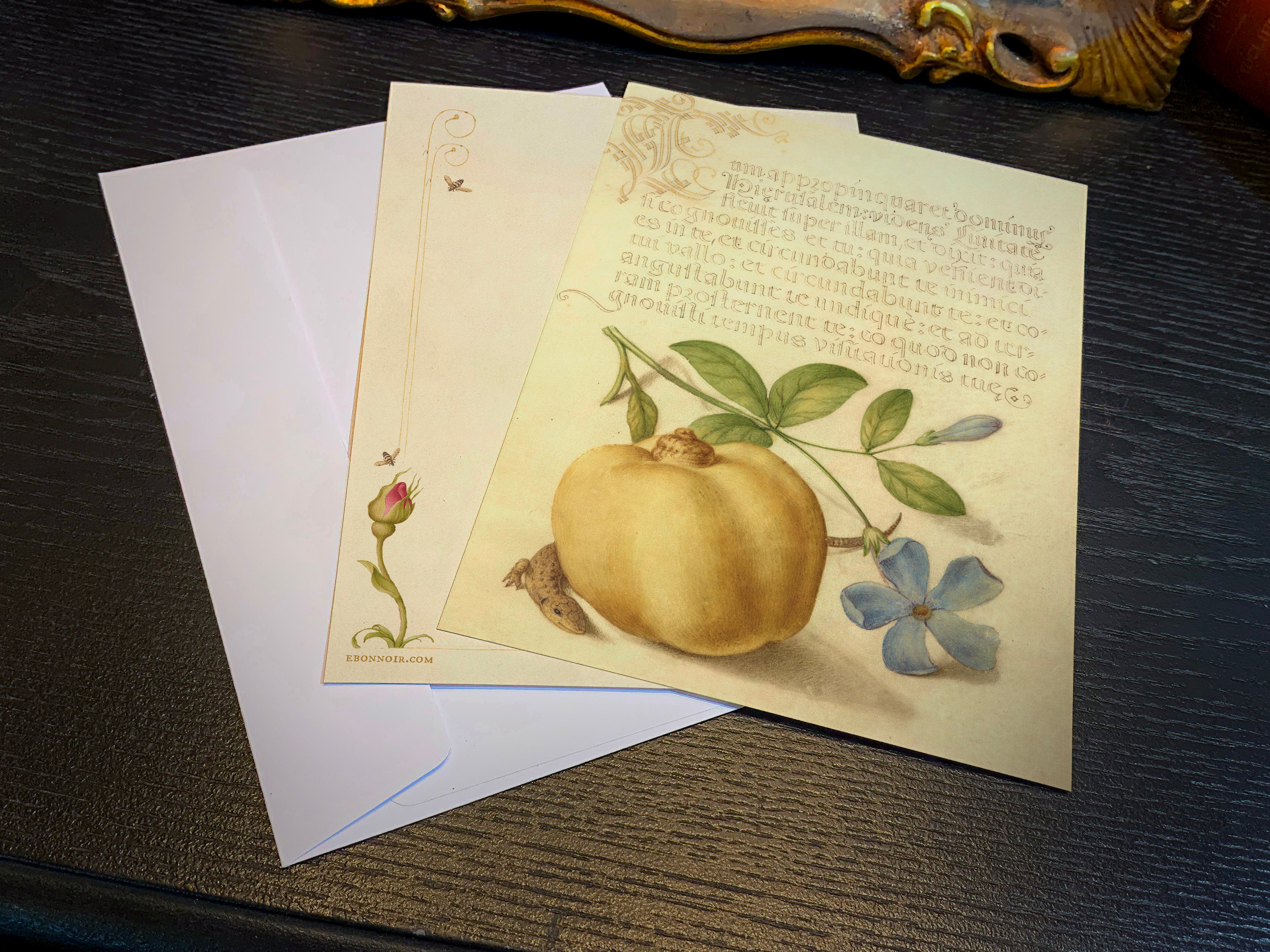 Model Book of Calligraphy, Periwinkle, Apple, and Lizard, 5in x 7in Everyday Notecards With White Envelopes